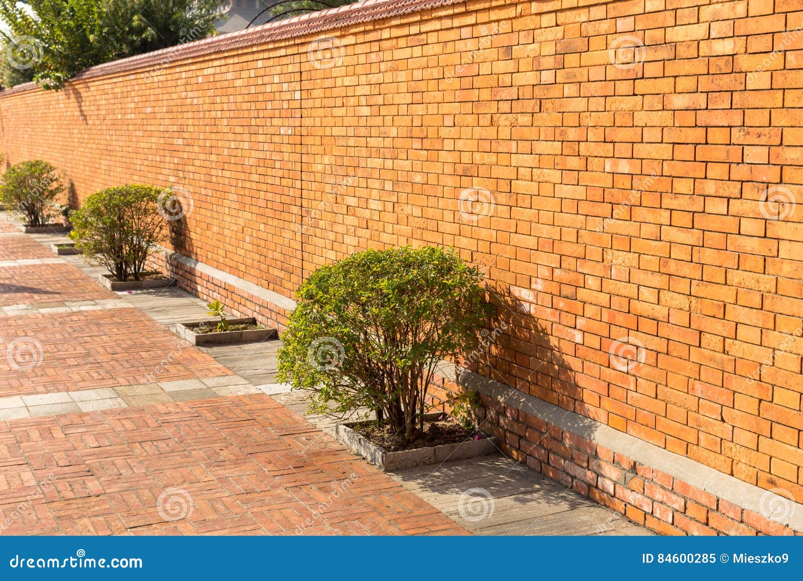 Bush and the Red Brick Wall, Lumbini, Nepal Stock Image Image of