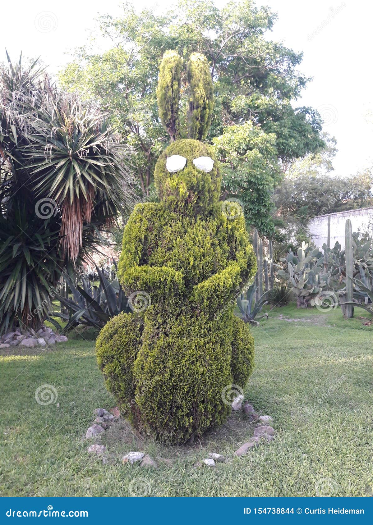 Bush Sculpted Into A Rabbit With Sunglasses In San Miguel De