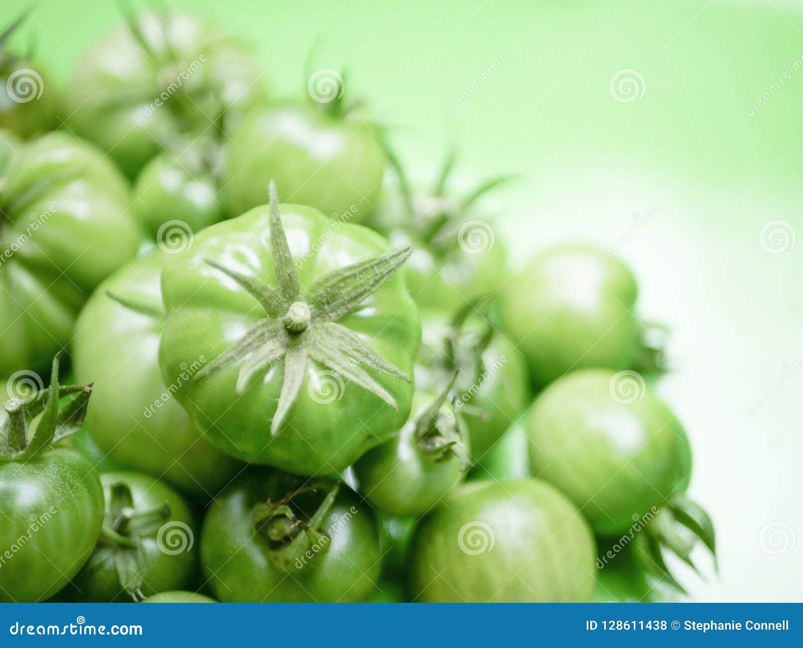 Bushel of Green Tomatoes stock photo. Image of color 128611438
