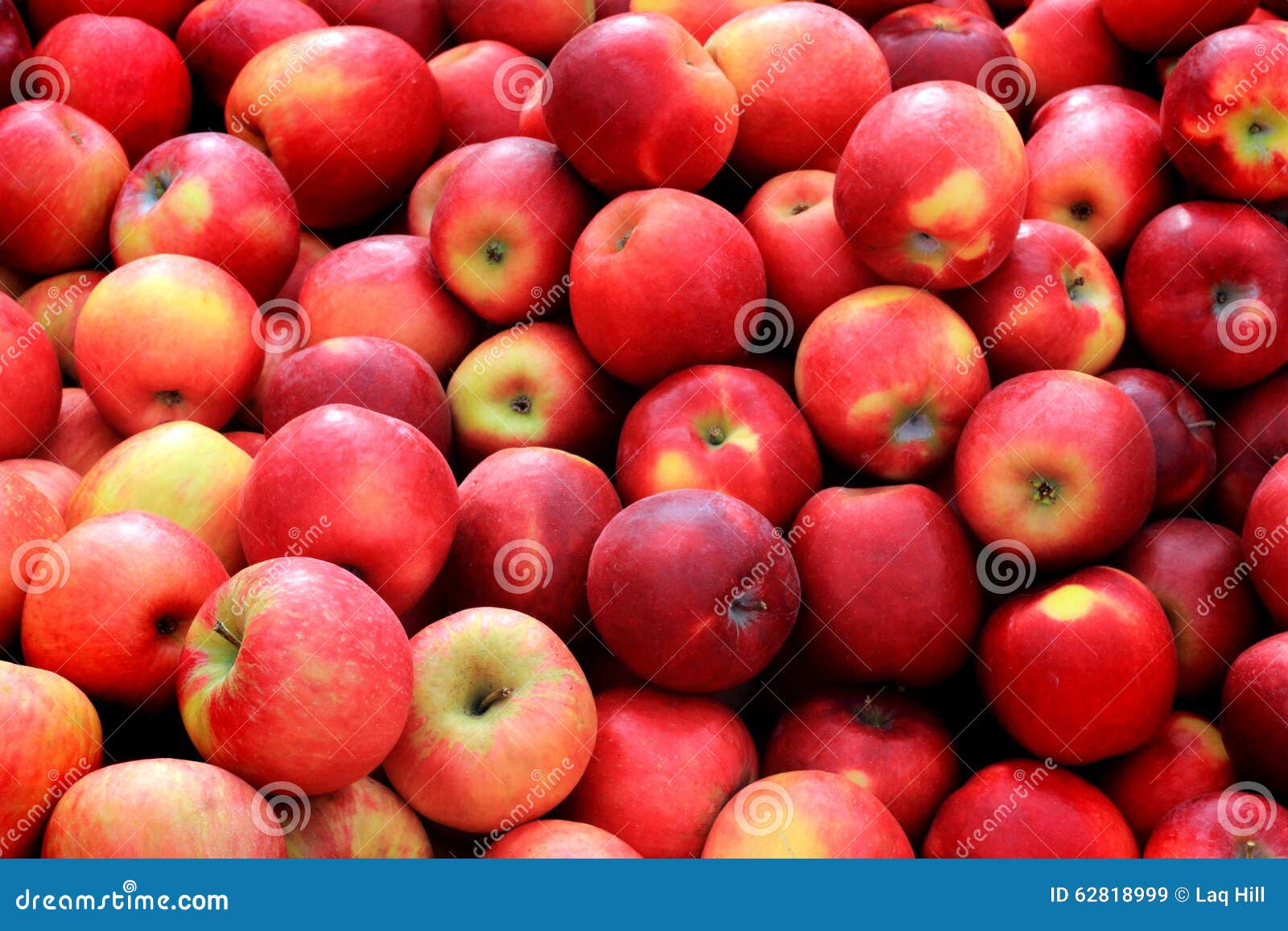 bushel of red apples
