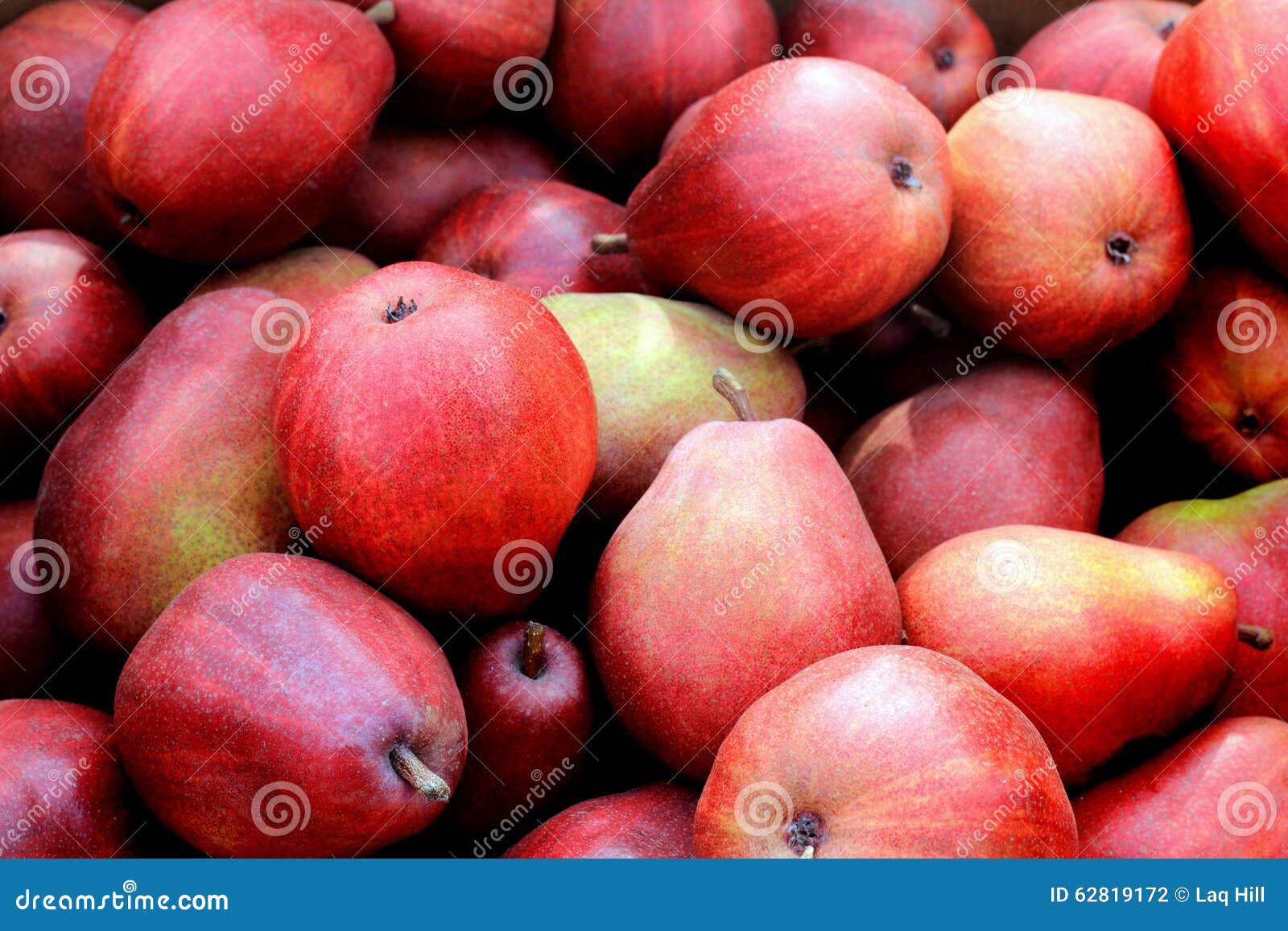 Bushel of Red Pears stock photo. Image of fresh, lifestyle 62819172