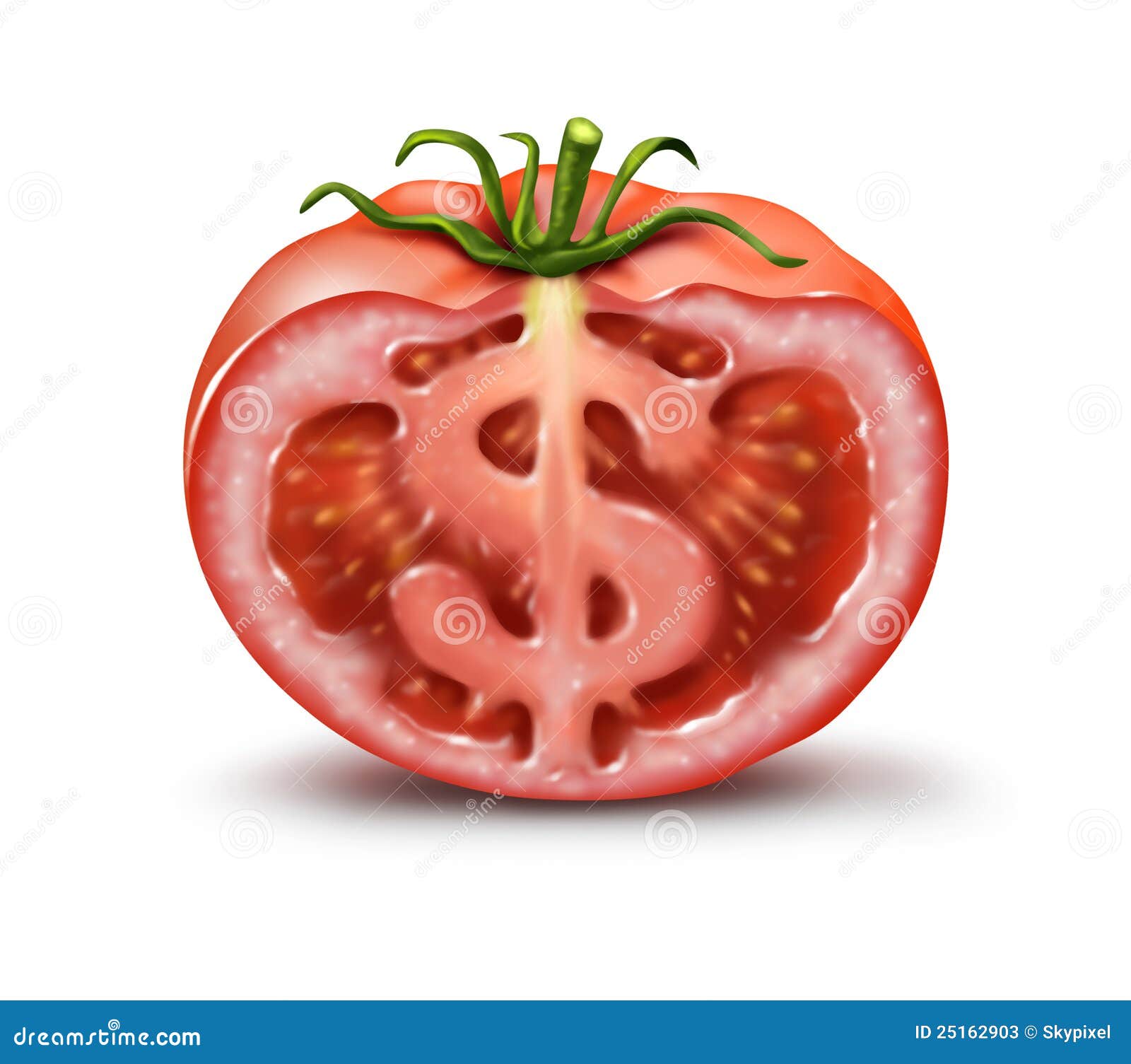 Cash Crop RoyaltyFree Stock Photography 24552779