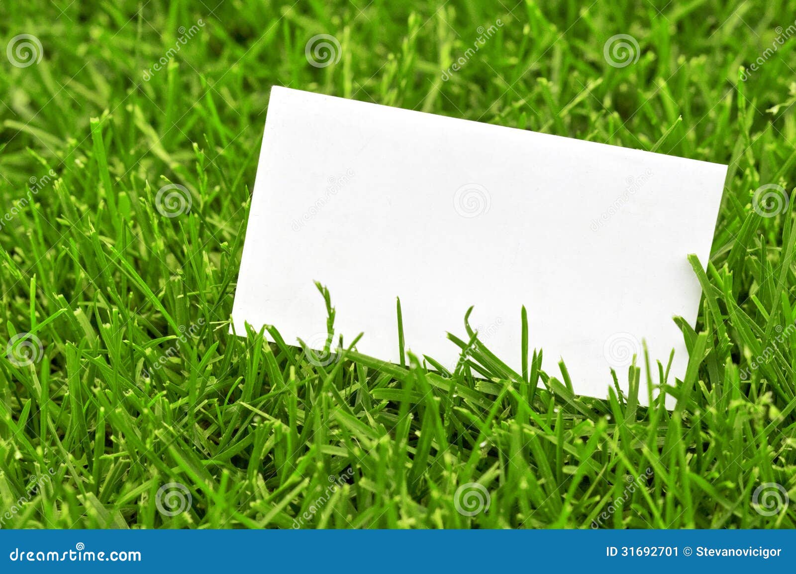 Business card in grass stock image. Image of environment 31692701