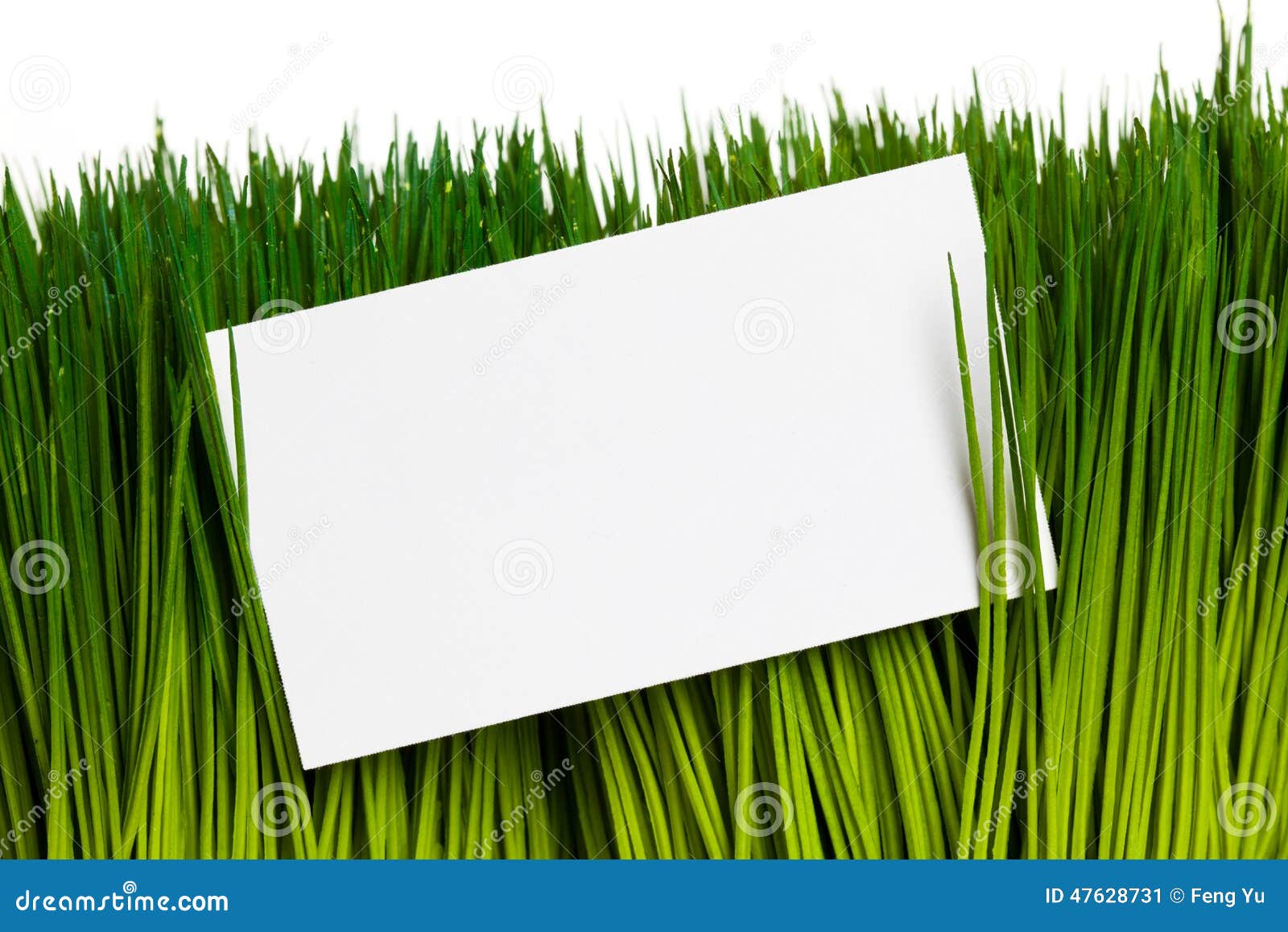 Business Card and Green Grass Stock Image Image of greeting, showing