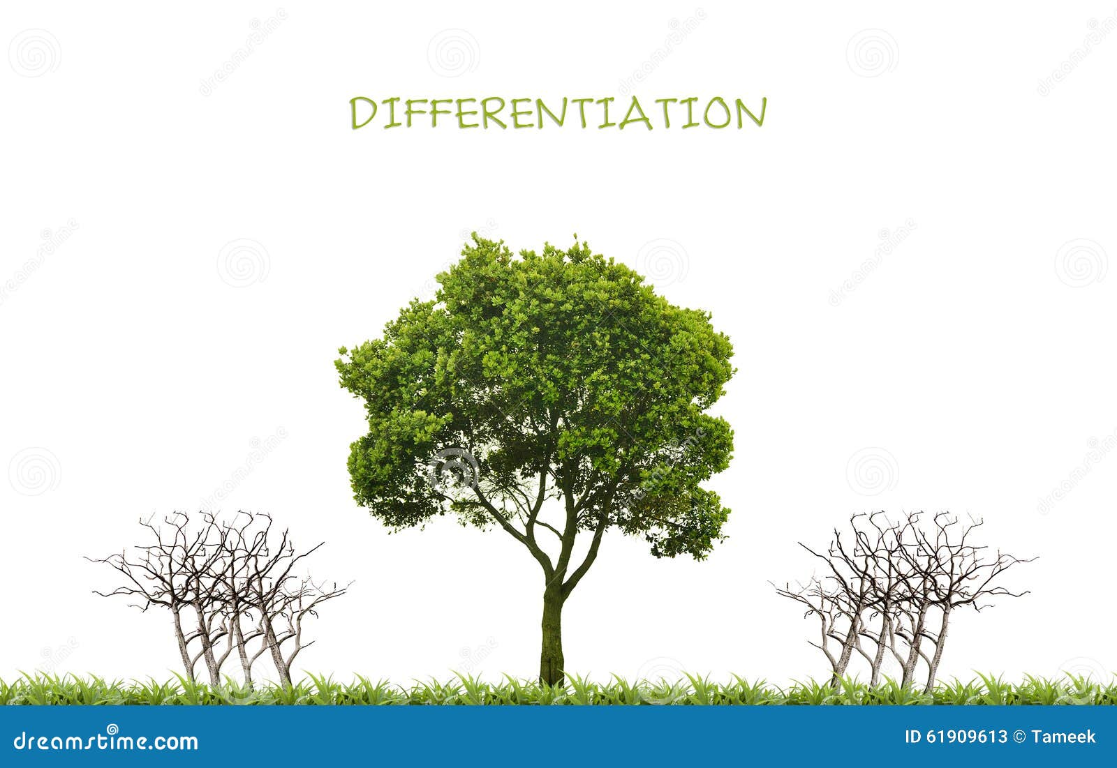 business, differentiation concept