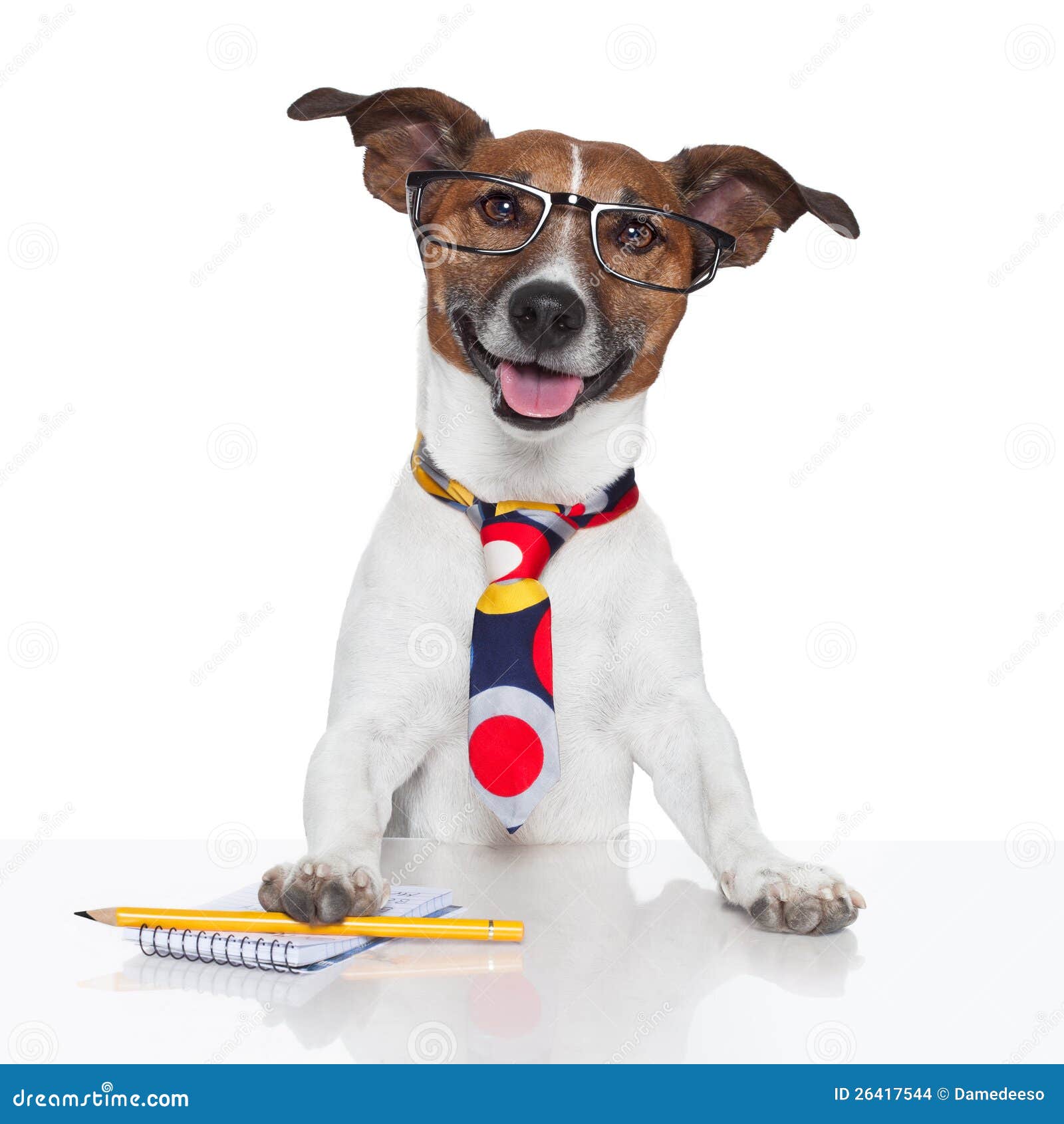 Business dog typewriter stock photo. Image of corporate 26417544