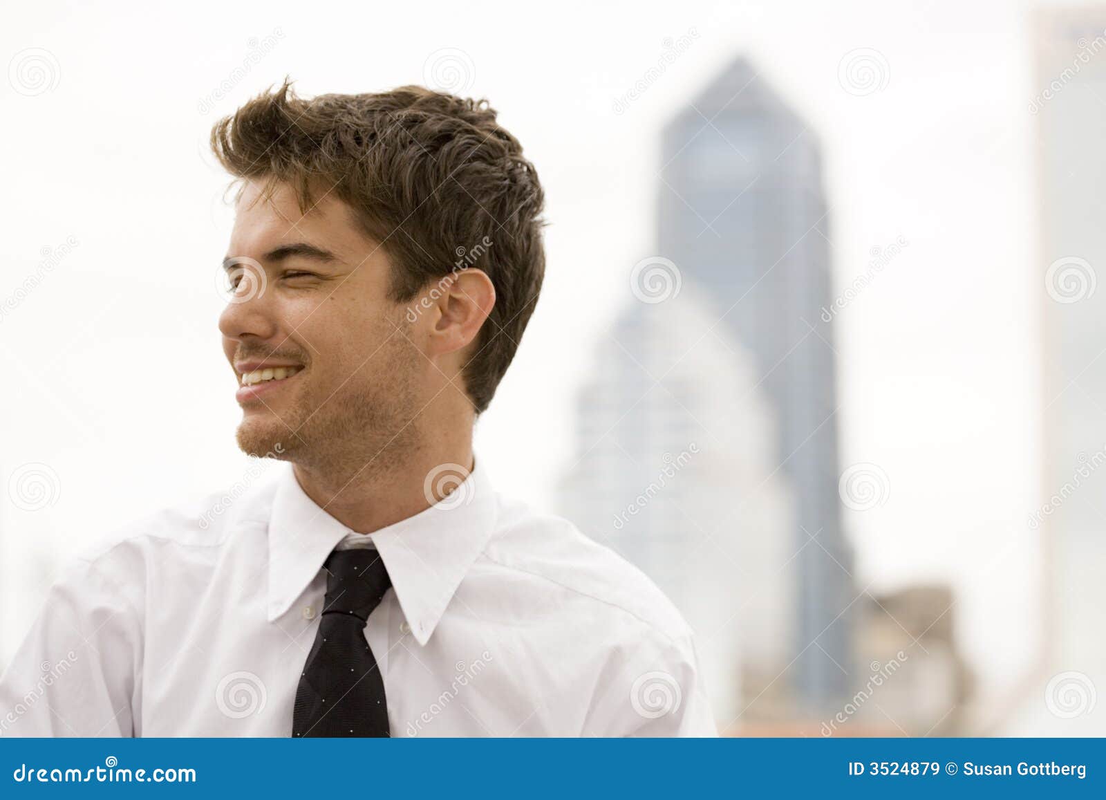 Business Executive stock image. Image of intelligence - 3524879