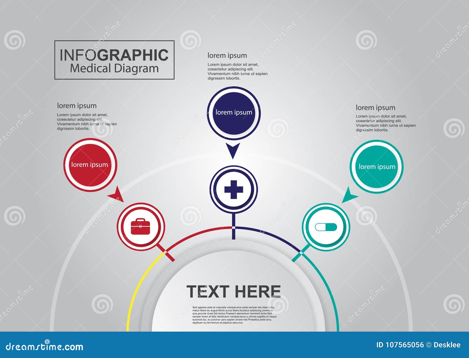 business infographic medical diagram vertor