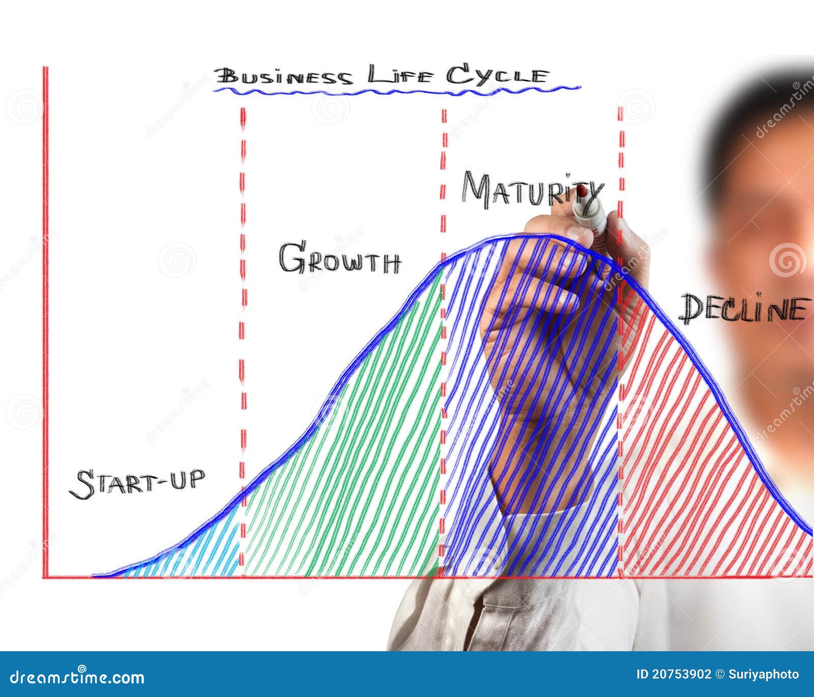 Business Life Cycle Chart