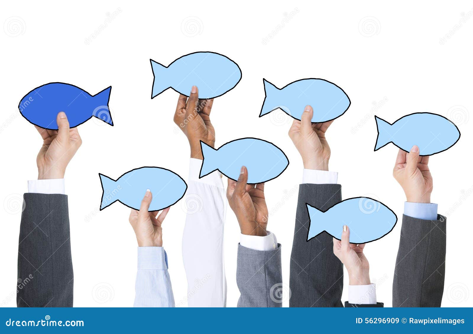 business people holding fish  and contrasts concept