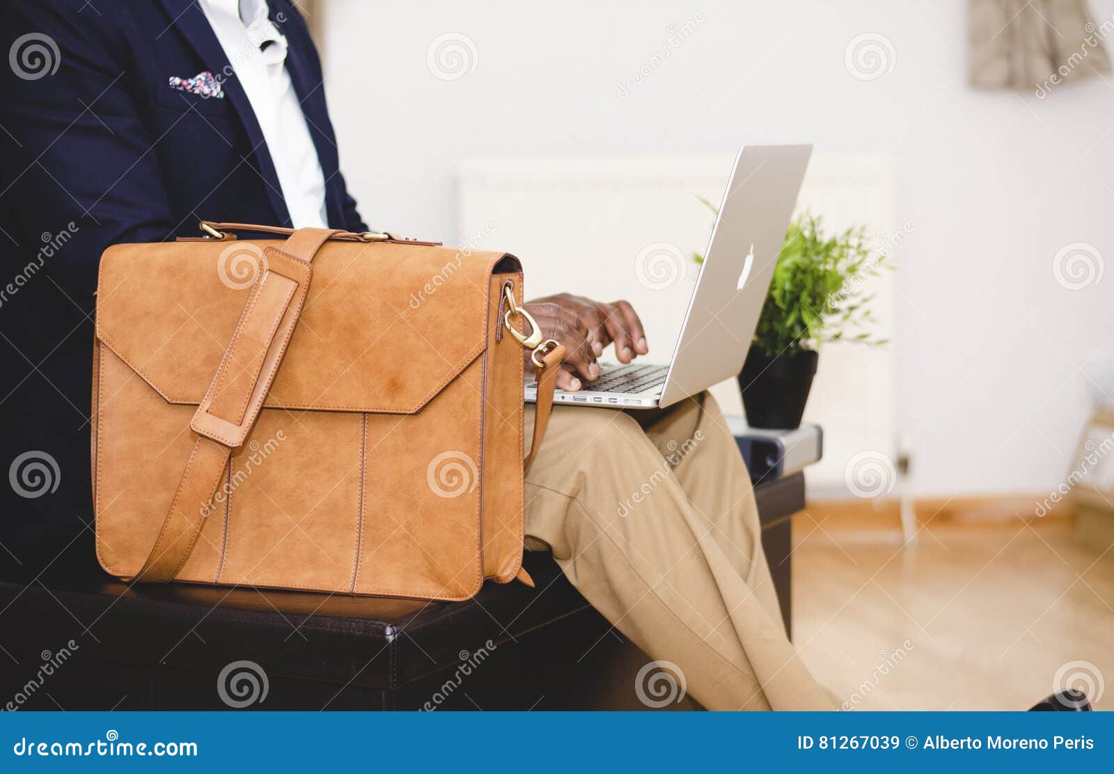 Business Professional with Briefcase and Laptop Stock Image Image of