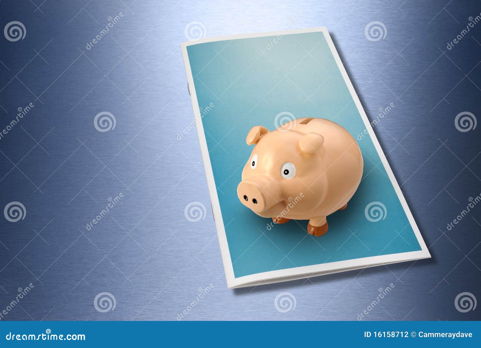 business wealth brochure piggybank