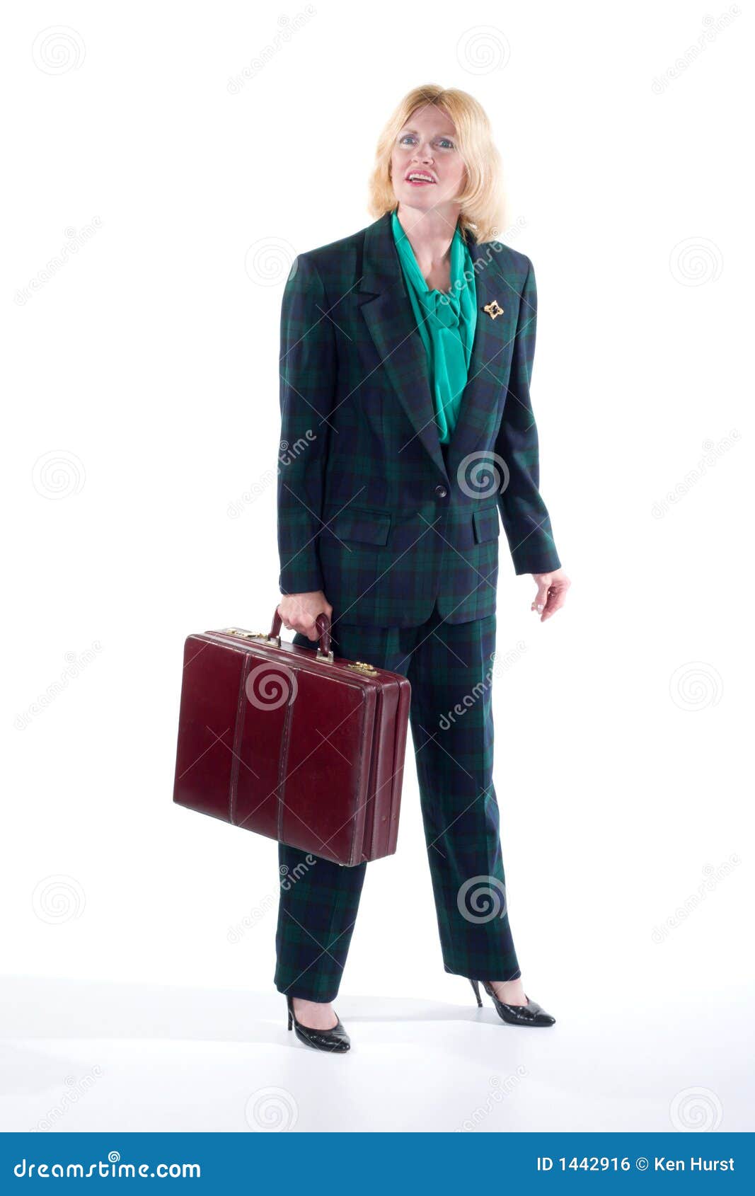 Business Woman Holding Briefcase Stock Photo Image of smart, green