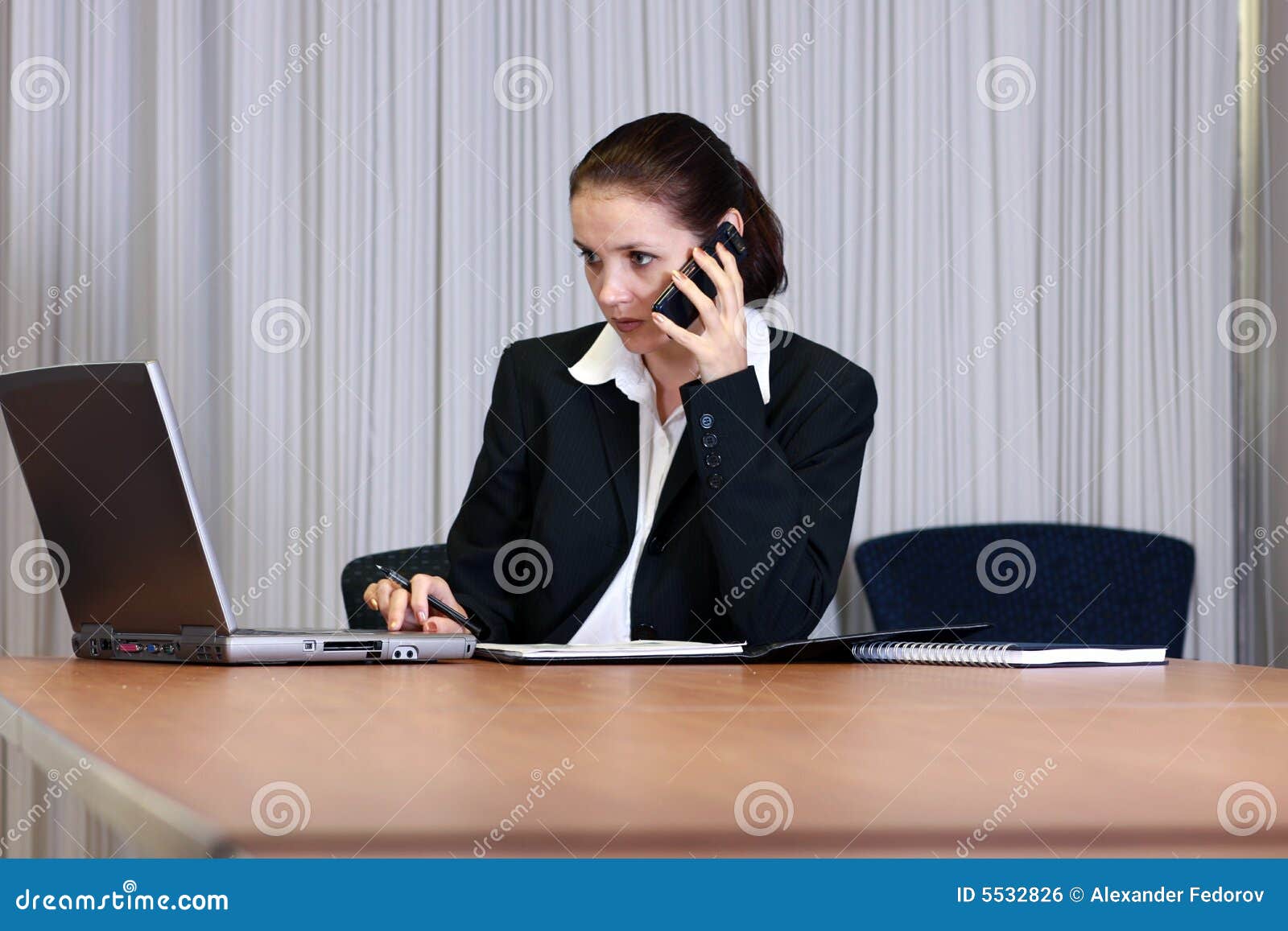 Business women stock photo. Image of professional, lady - 5532826