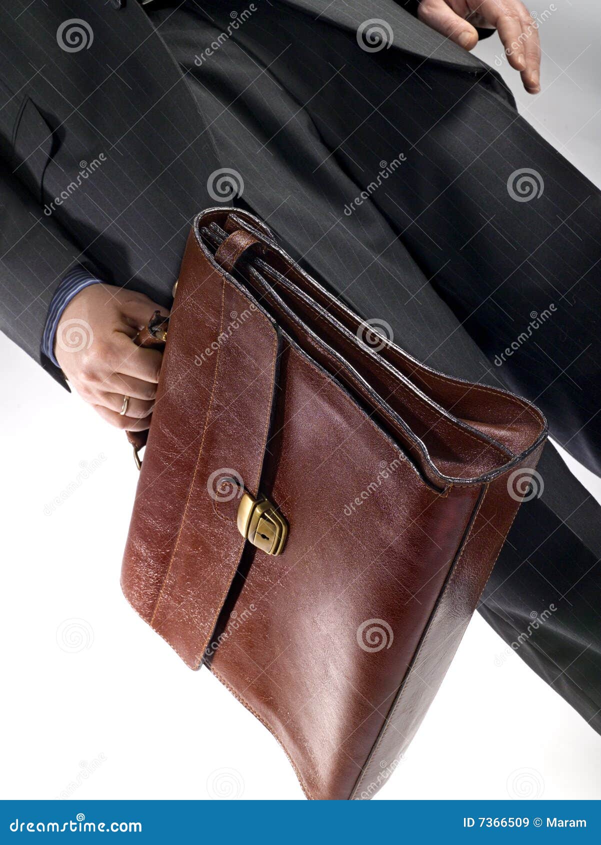 Businessman with bag stock image. Image of adviser, business 7366509