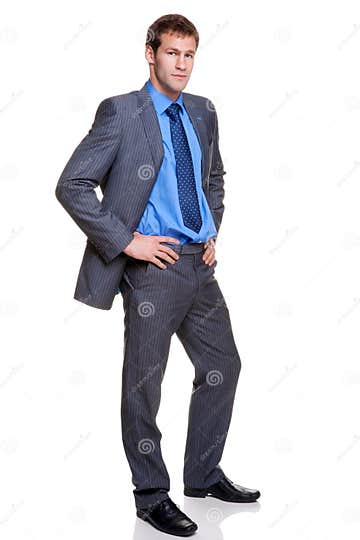 Businessman Full Length Grey Pinstripe Suit Stock Image - Image of blue ...