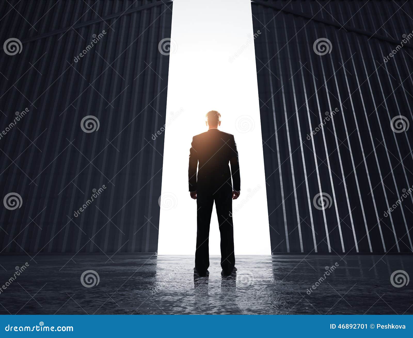 Businessman Looking To Doors Stock Image Image of building, profession 46892701