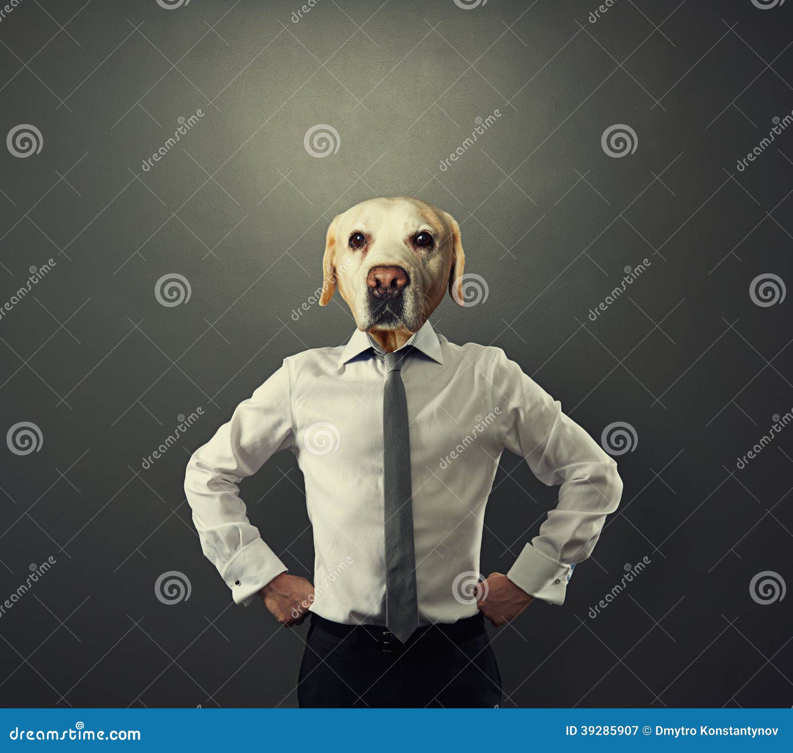 Орлов стендап с головой собаки. Человек с башкой собаки. Деловой человек с головой собаки.