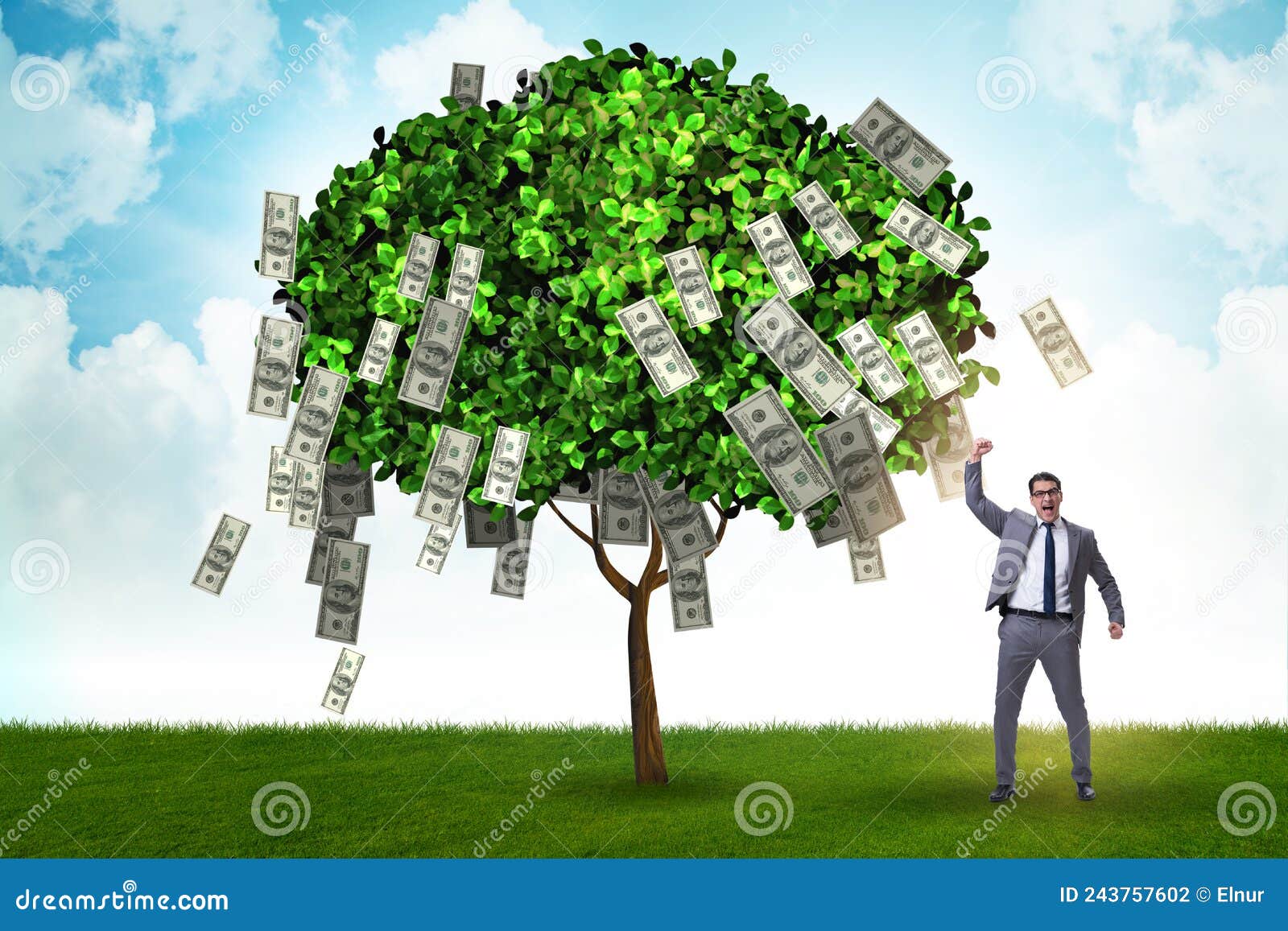Businessman with Money Tree in Business Concept Stock Photo Image of