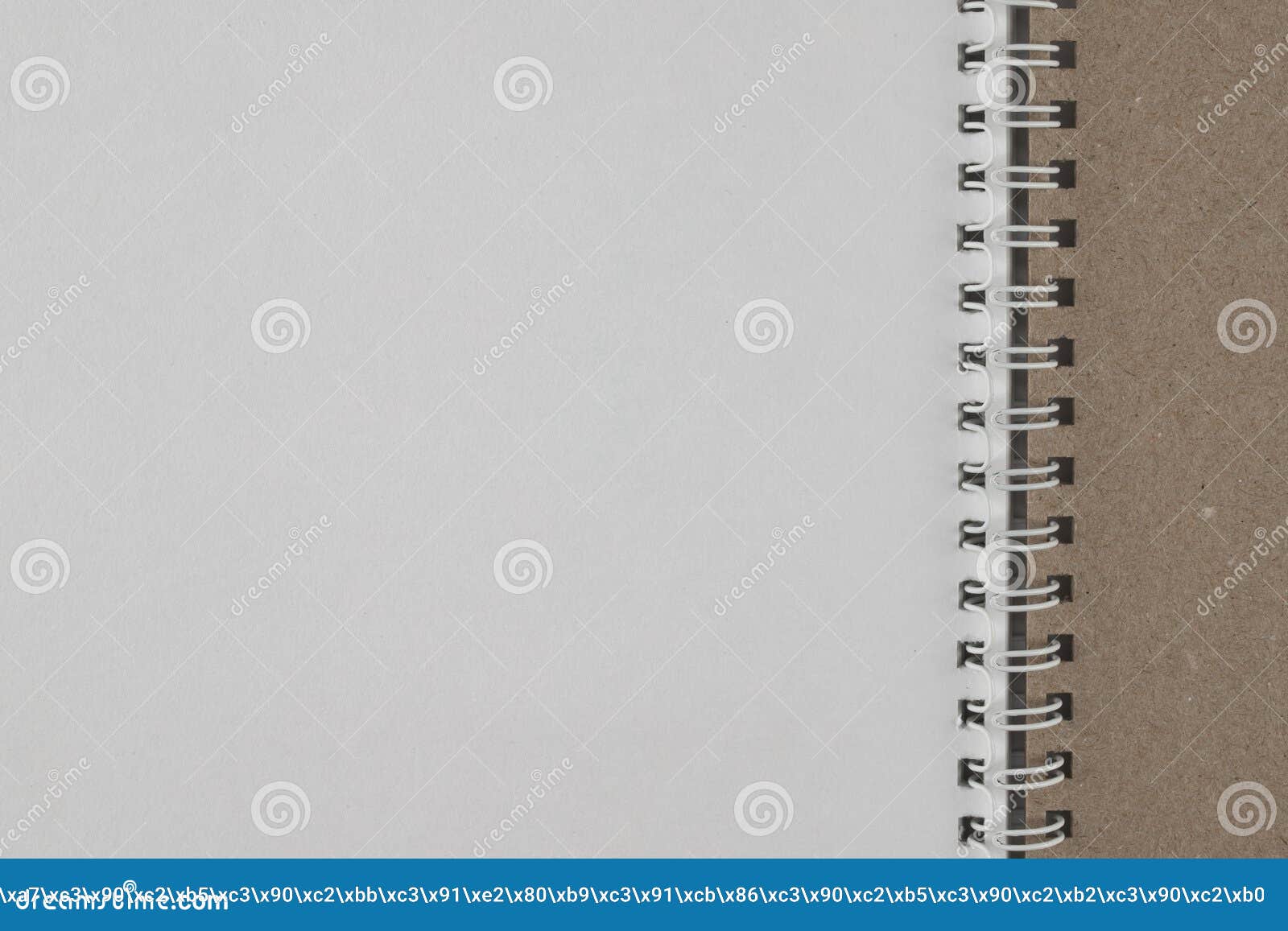 a businessman`s notebook with a zipper archiver and sheets in a ruler, isolate