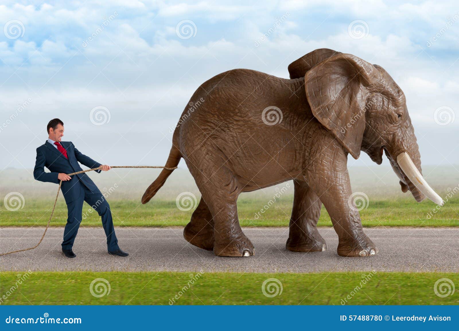 Businessman Trying To Restrain an Elephant Stock Photo Image of
