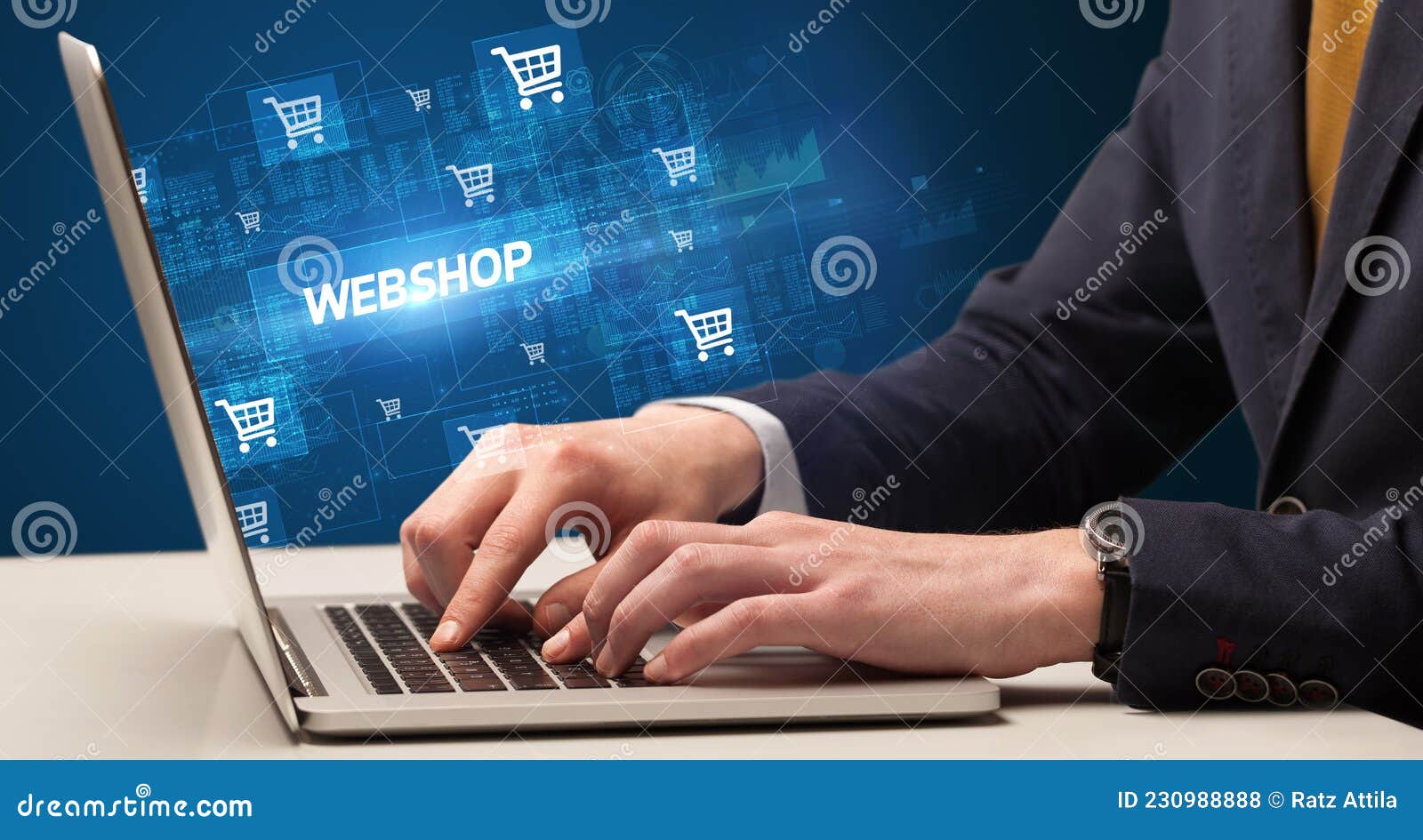 scheidsrechter Shuraba achterzijde Businessman Working on Laptop Concept Stock Photo - Image of person,  payment: 230988888