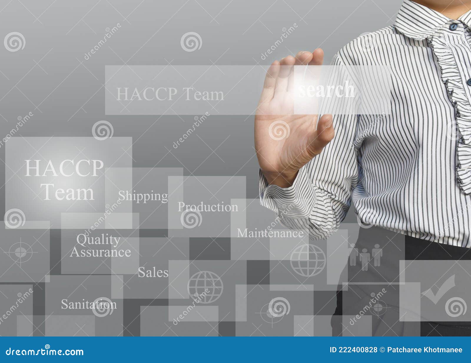 Presentation Element Of Quality System Iso Gmp Haccp 5s Kaizen