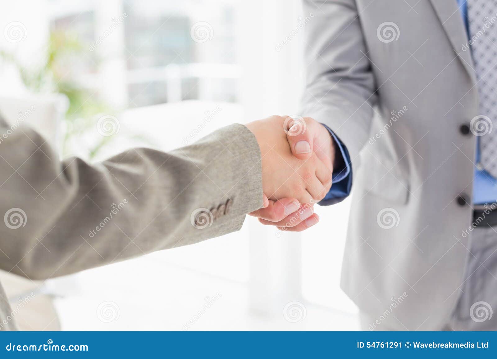 Businesswoman Shaking Hands with a Businessman Stock Image - Image of ...