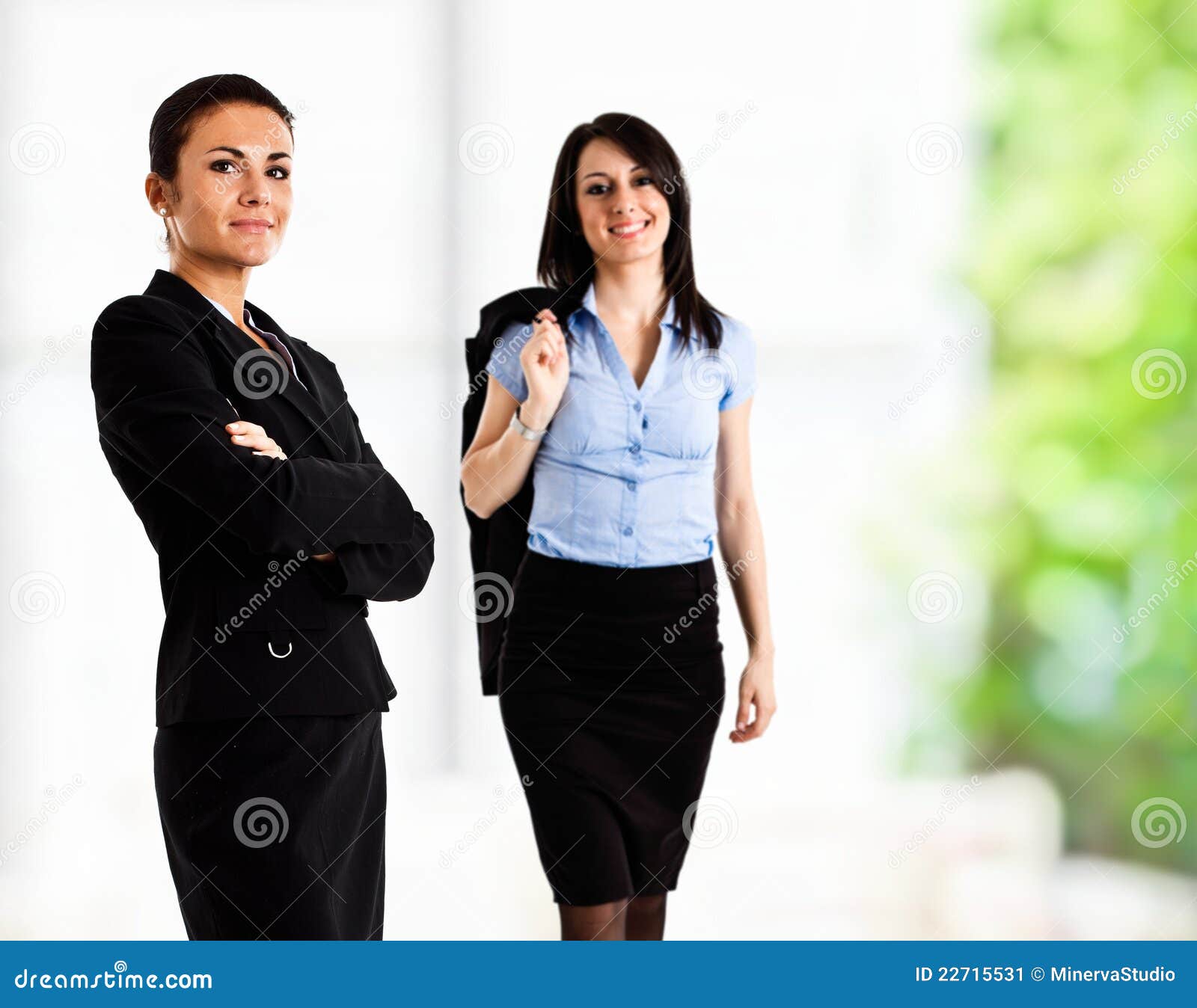 Businesswomen stock image. Image of people, person, mature - 22715531