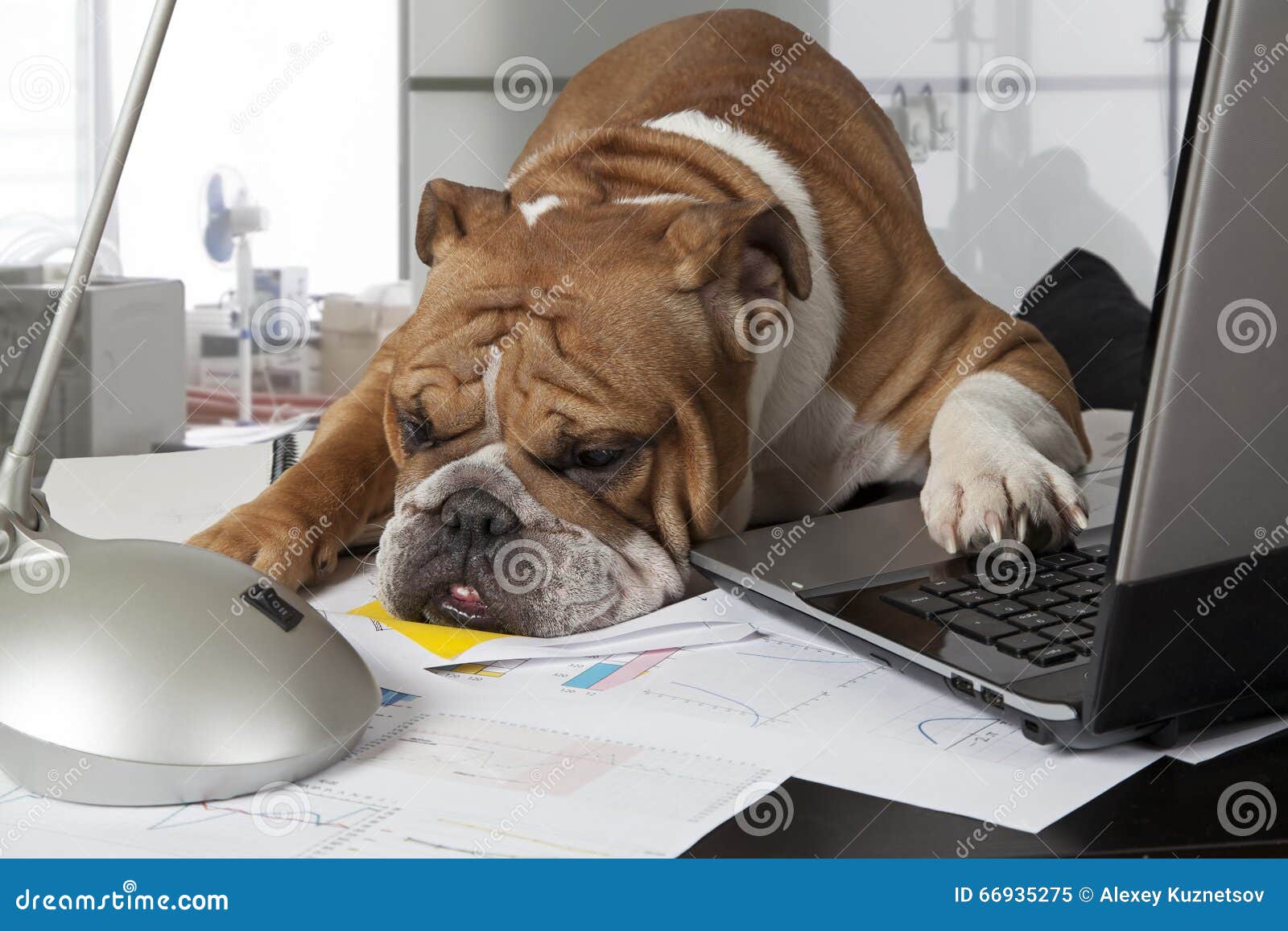 Busy day in the office stock image. Image of english