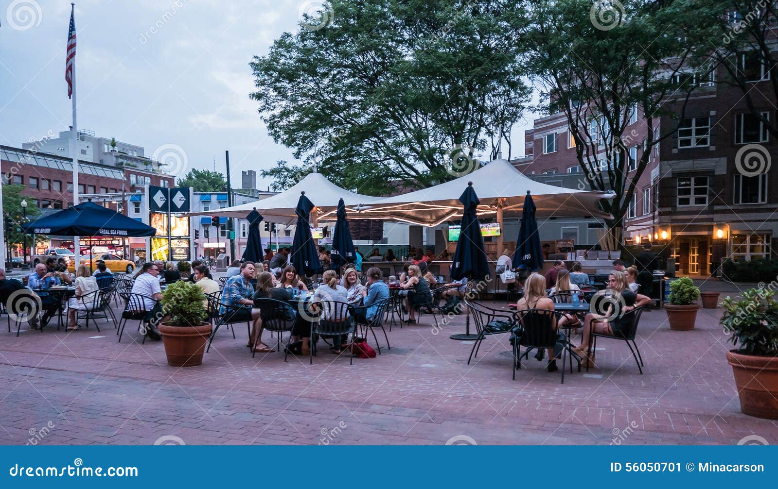 Legal sea foods harvard square