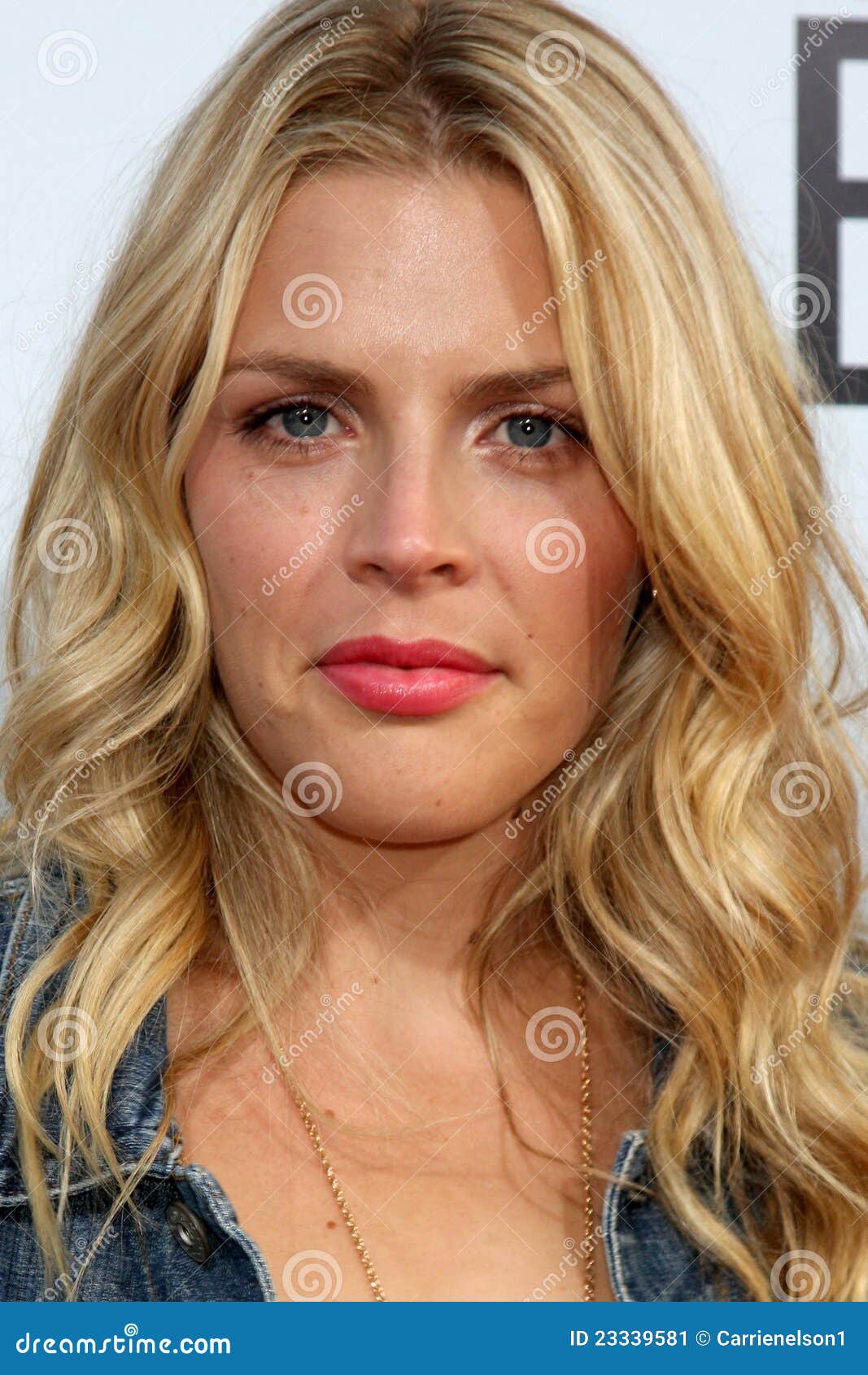 Busy Phillips editorial photo. Image of phillips, brother - 23339581