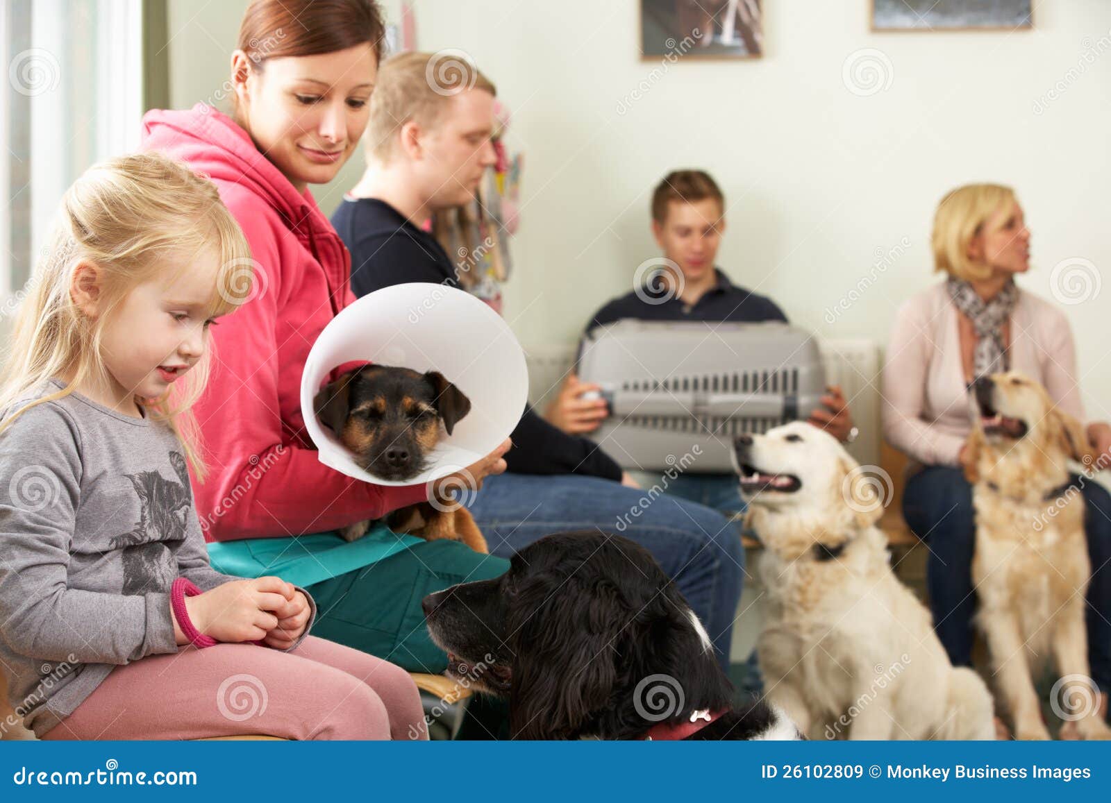 busy waiting room in veterinary surgery