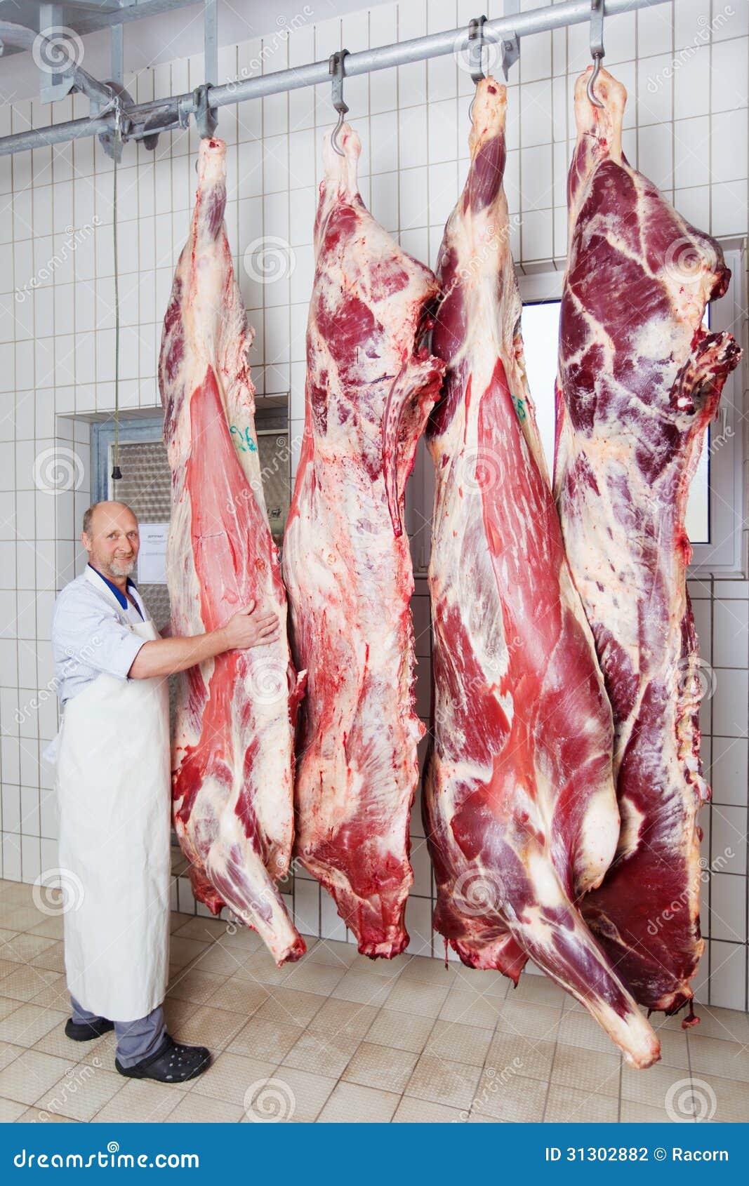 cattle range butcher cattle range butcher