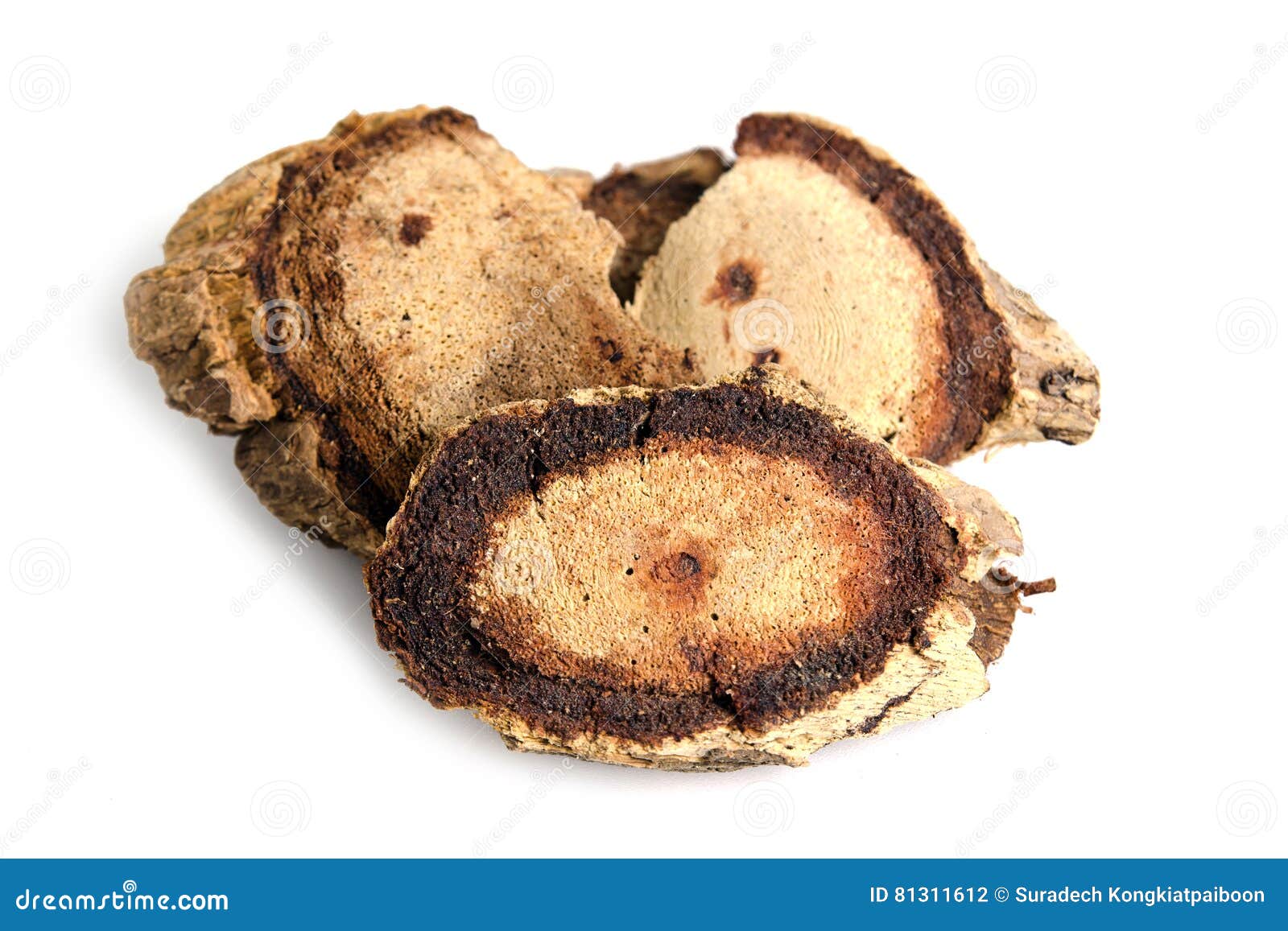 butea superba roxb or red kwao krua tuber root  on white