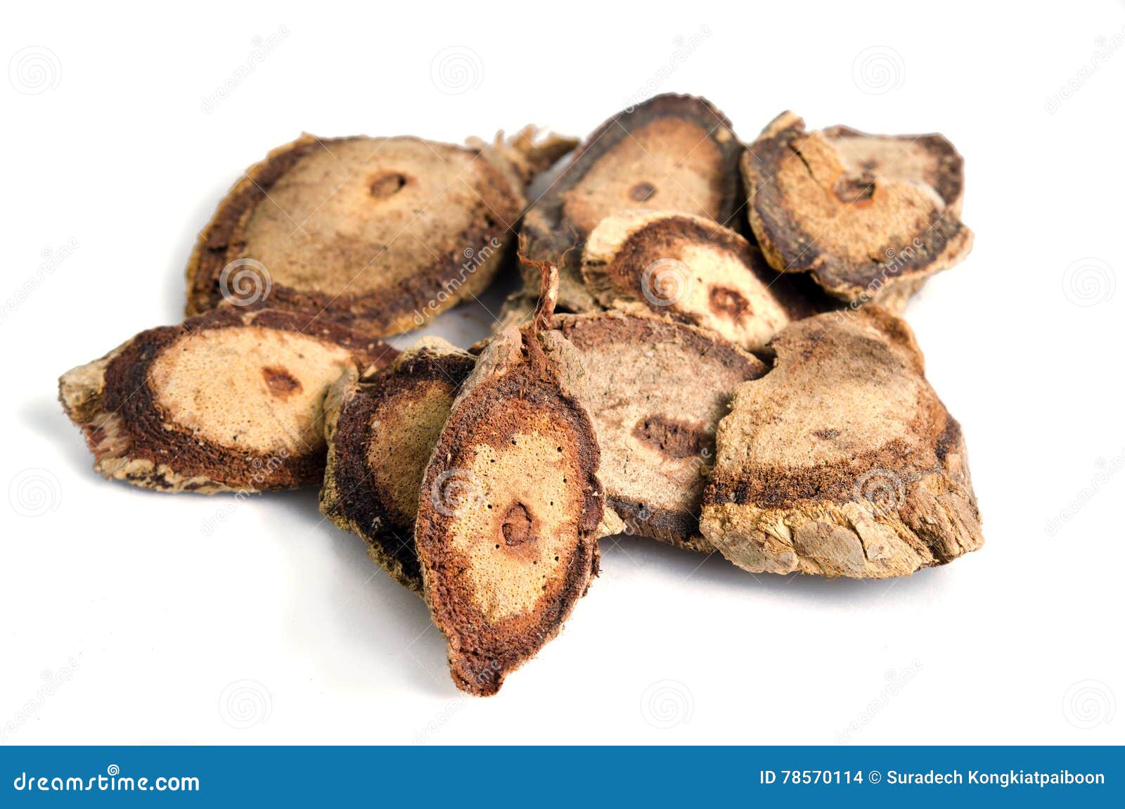 butea superba roxb or red kwao krua tuber root  on white
