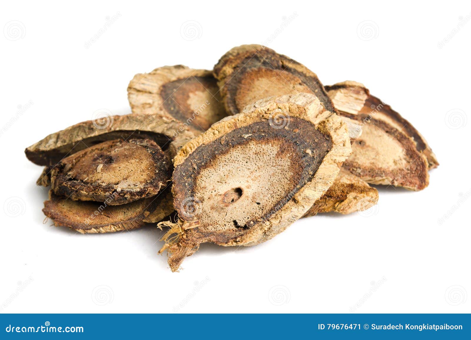 butea superba roxb or red kwao krua tuber root  on white