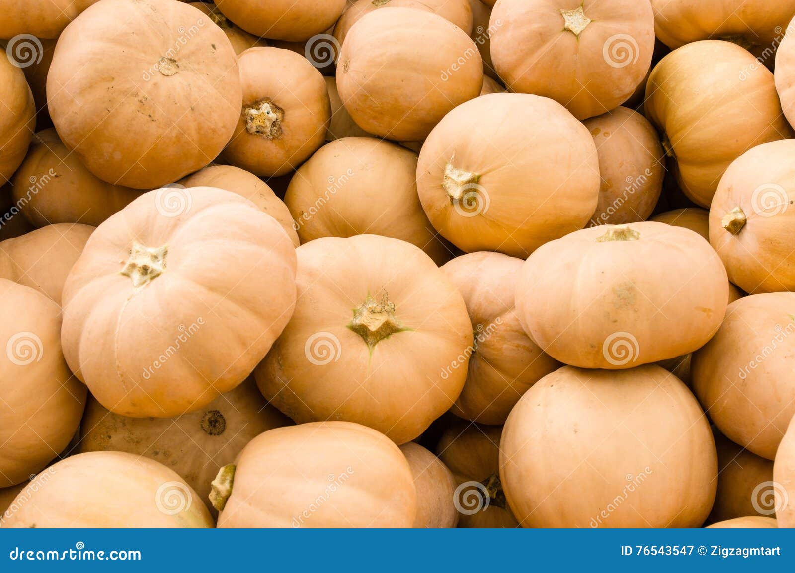 butter kin squash on display