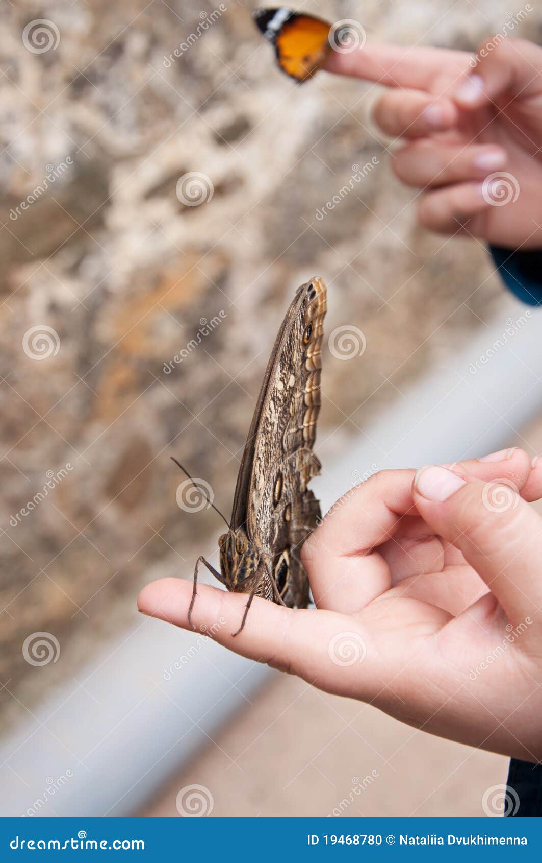 Butterflies on Child S Hands Stock Photo Image of decorative