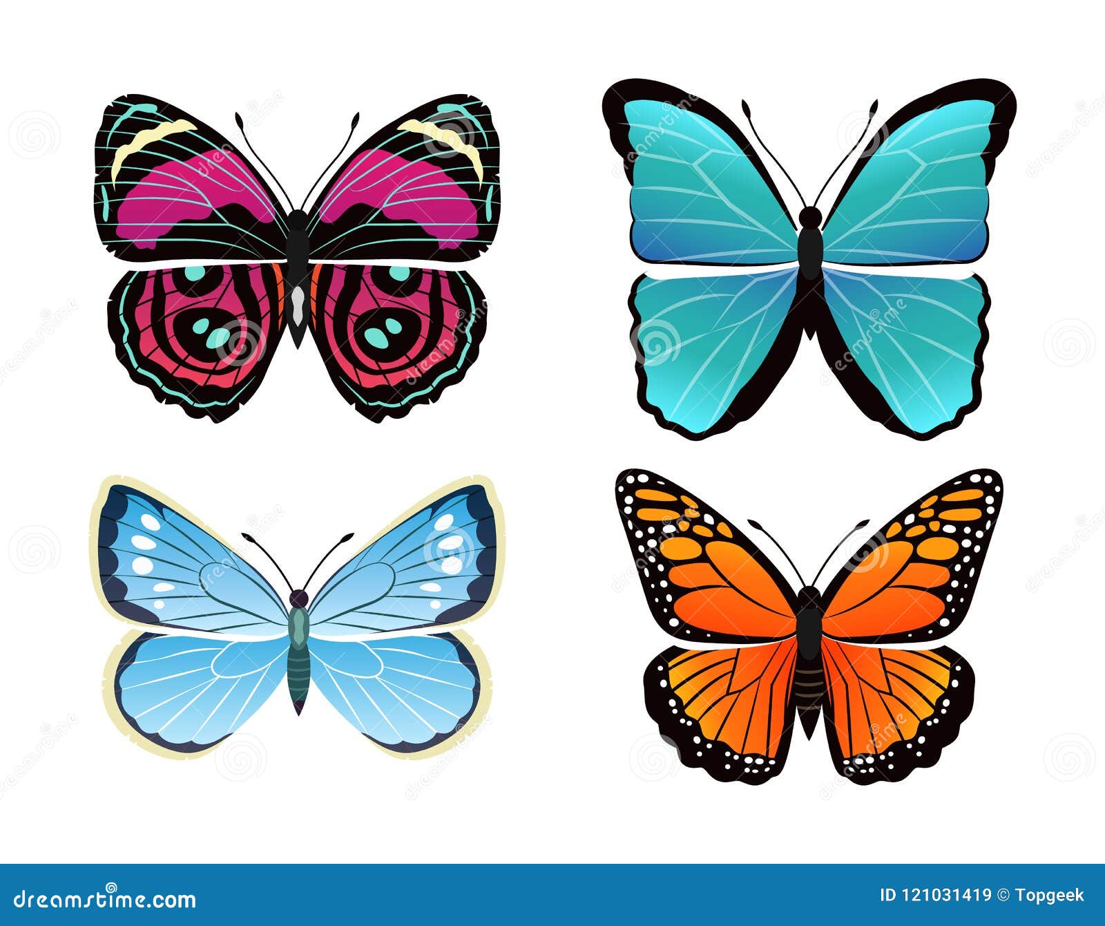 Butterflies Collection Types Vector Illustration Stock Vector ...