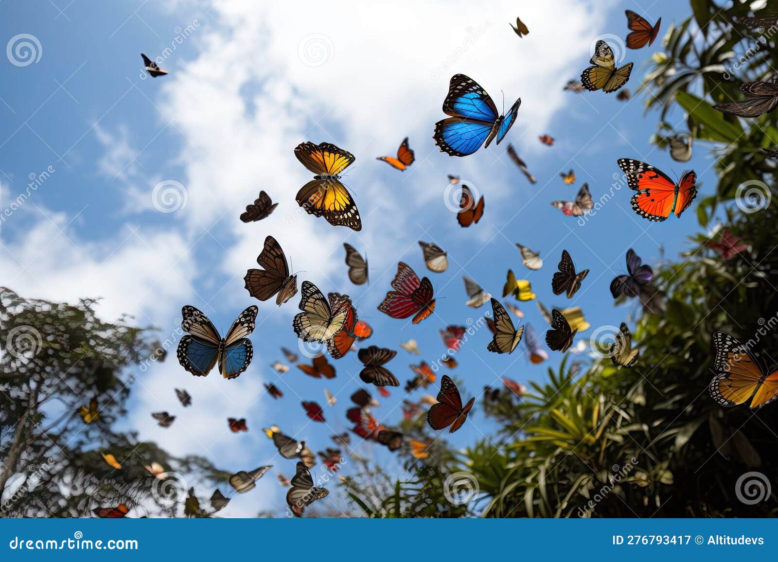 Butterflies of Different Species Fluttering and Flying in Formation