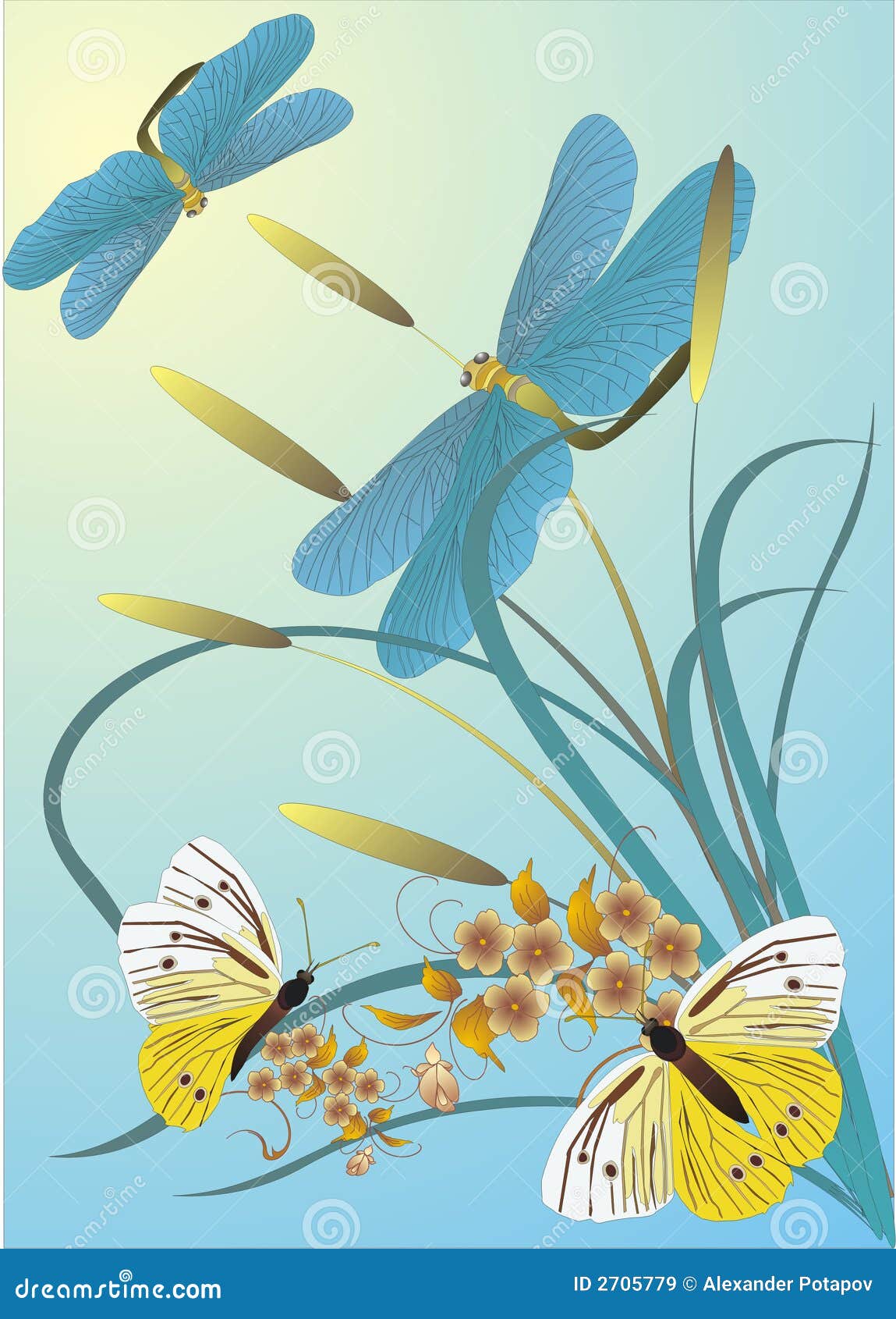 Butterflies And Dragonflies Stock Vector Illustration of beautiful