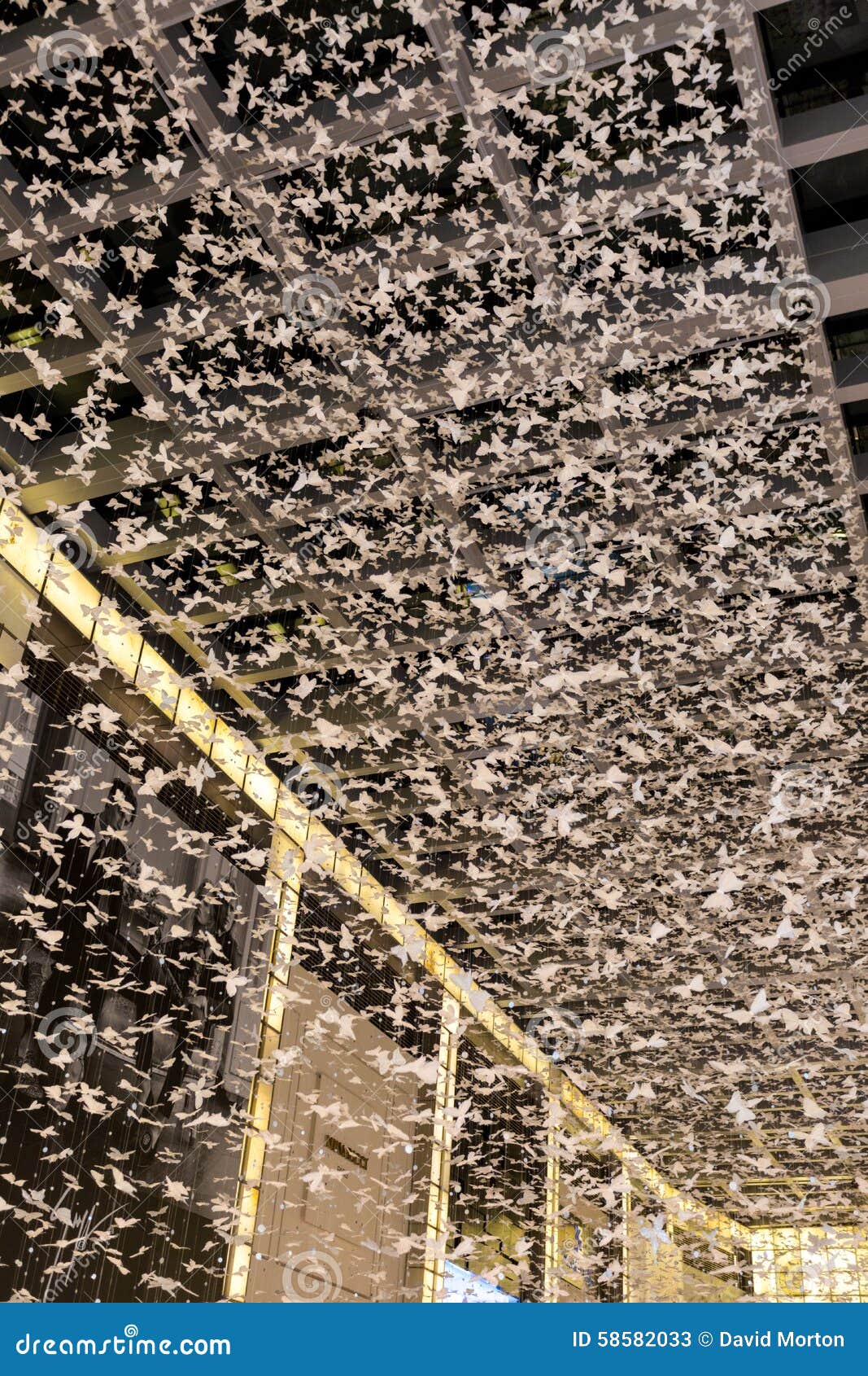 Butterflies at Dubai Mall editorial stock photo. Image of shops 58582033