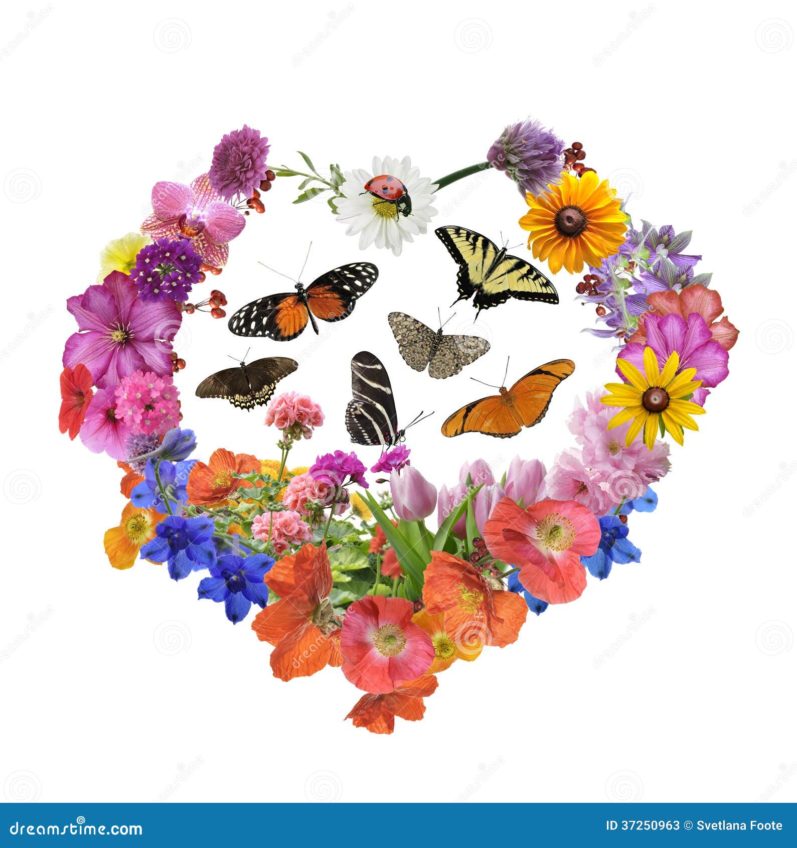 Butterflies and Flowers in Heart Shape Stock Image Image of colorful