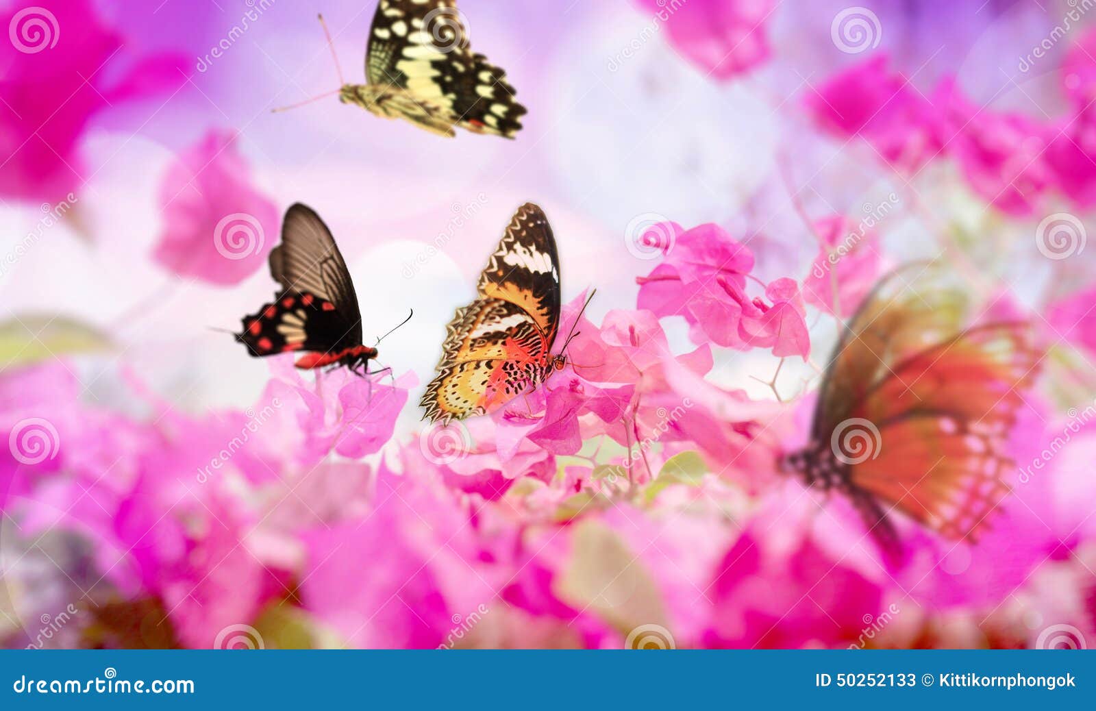 Butterflies Flying in Flowers. Stock Image Image of meadow, amber