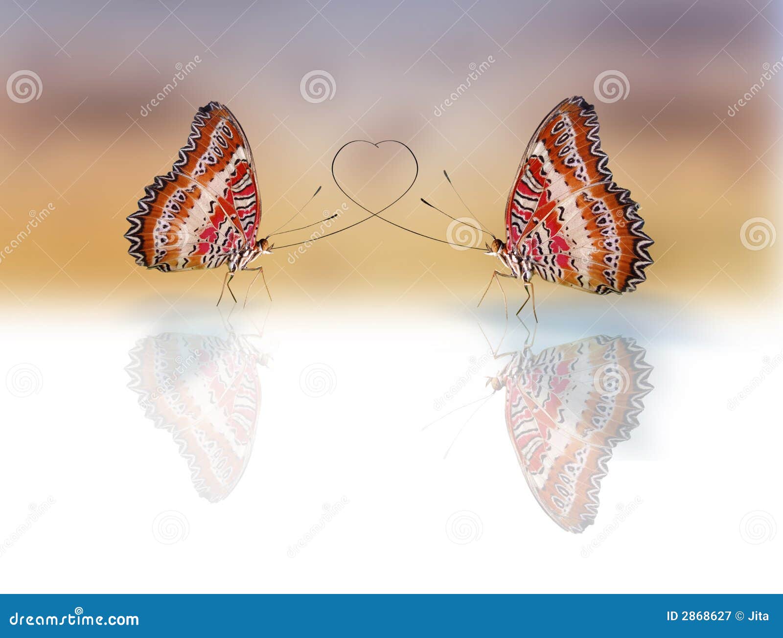 Butterflies in love stock illustration. Illustration of butterflies