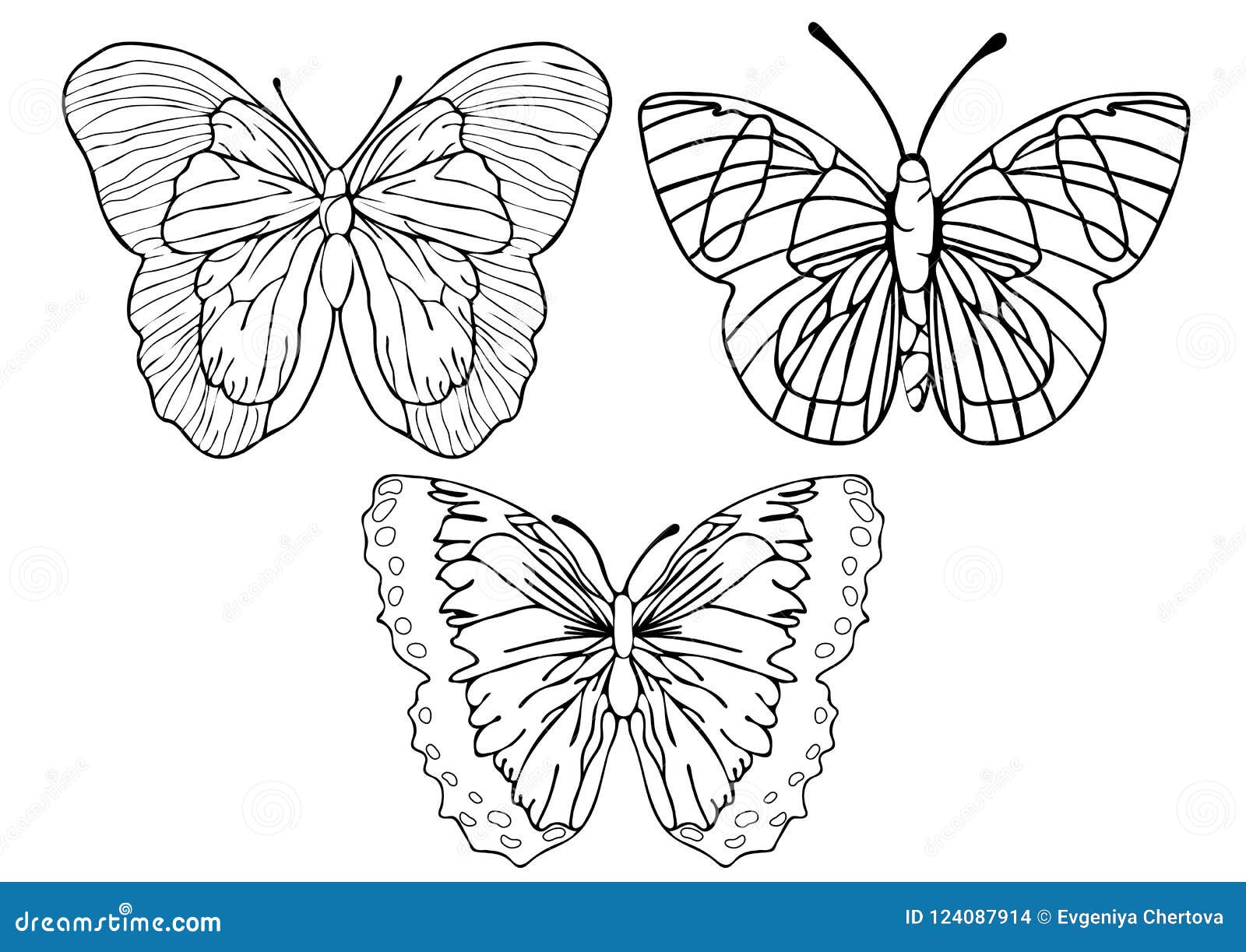 Premium Vector | Lot butterfly outline