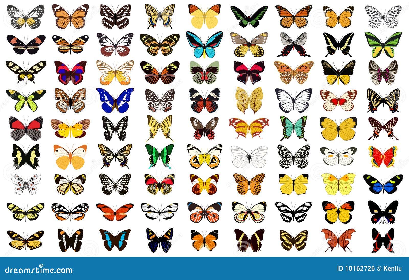 various butterfly patterns