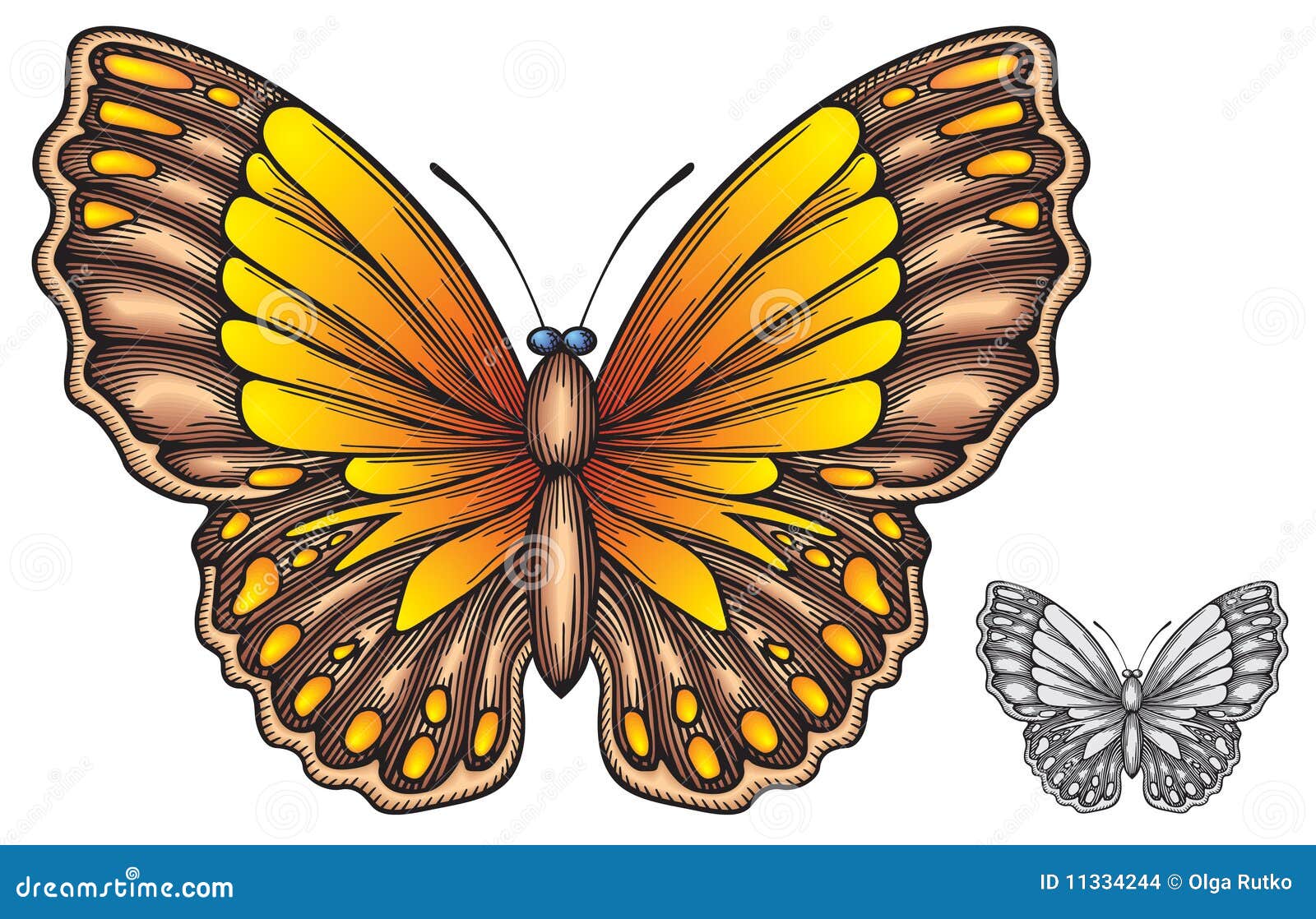 Download Butterfly stock vector. Illustration of silhouette, view ...