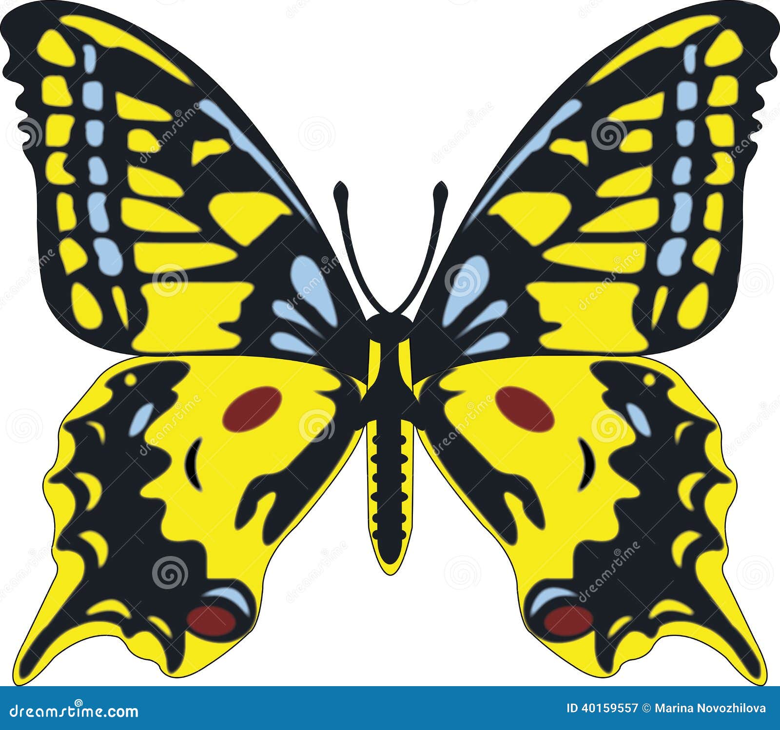 Butterfly stock illustration. Illustration of summer 40159557